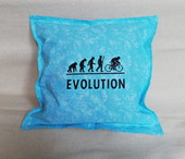 Polštářek Evolution