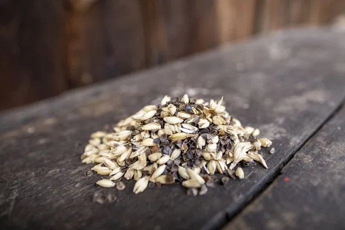 Obrázek produktu – helthbw73xqewaq