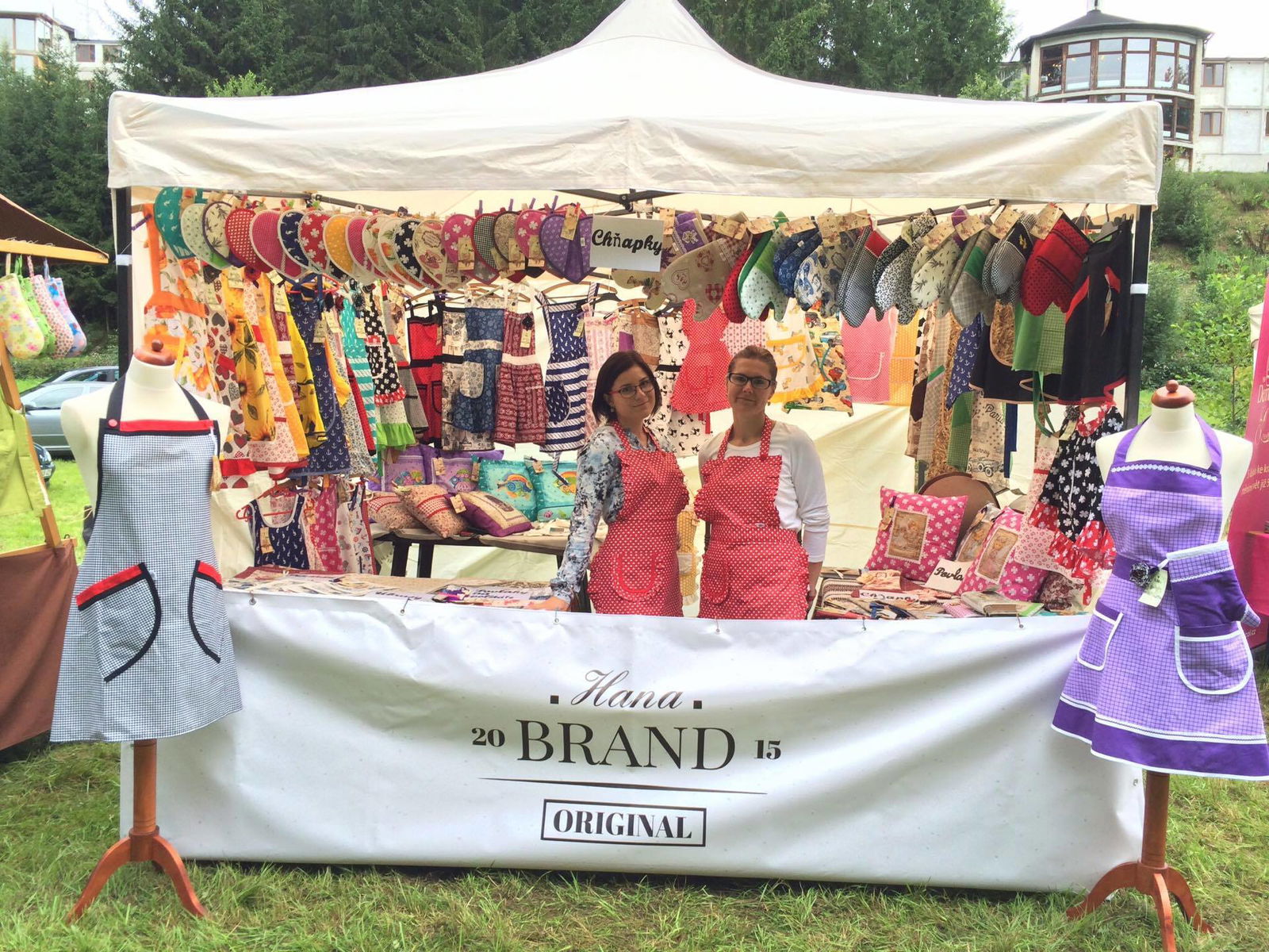 13923351_1335436243150590_1948884148187448492_o