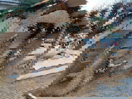 Messenger_creation_6778C8E7-10C6-4AFE-A4D3-5DB92960C913