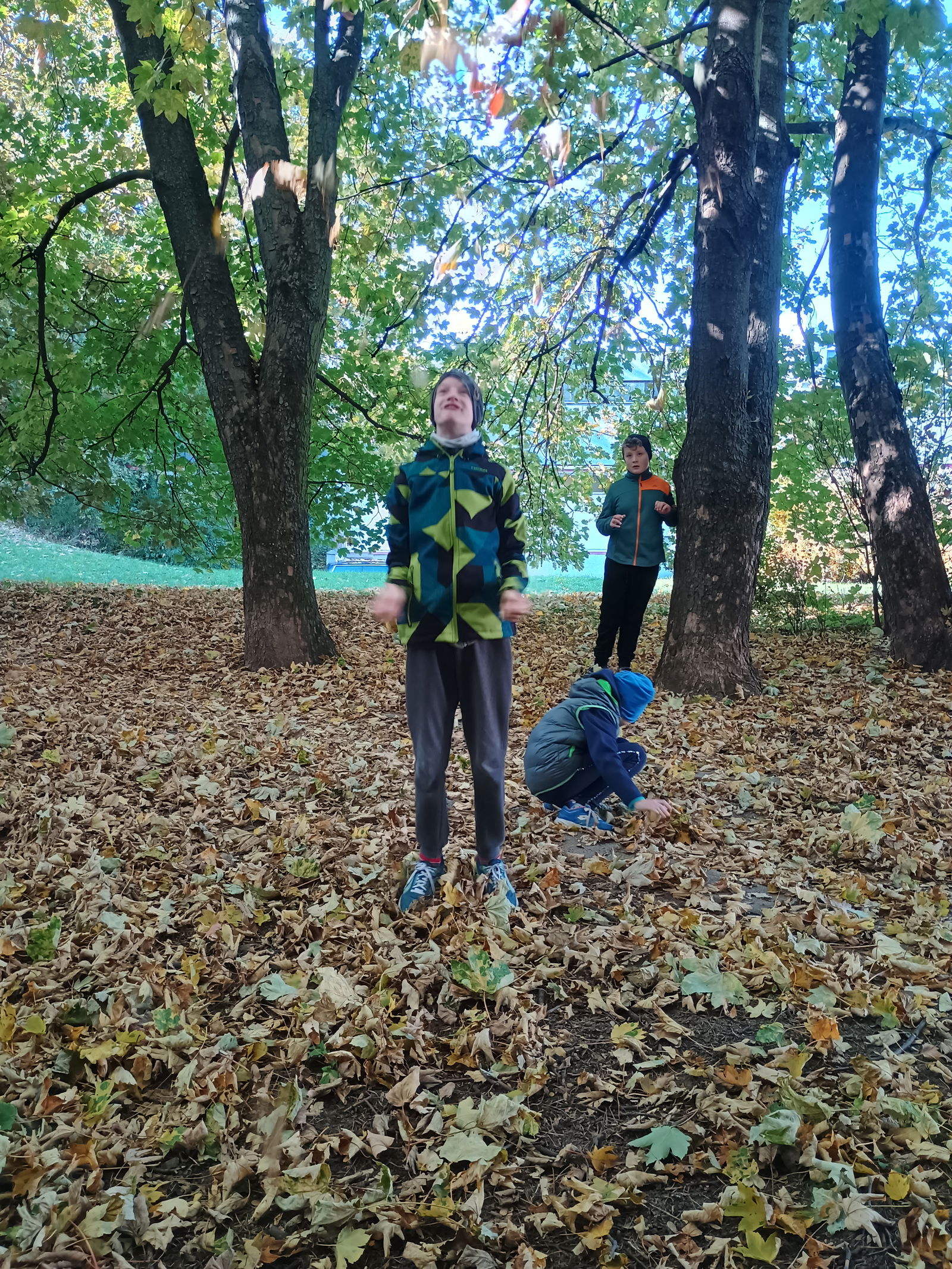 IMG_20251020_142317719_HDR