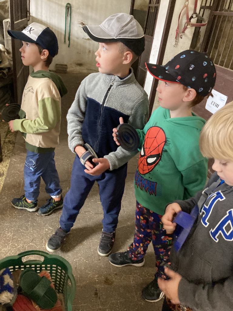 f9c608eb-44d0-4adc-95f6-439fc7019b95