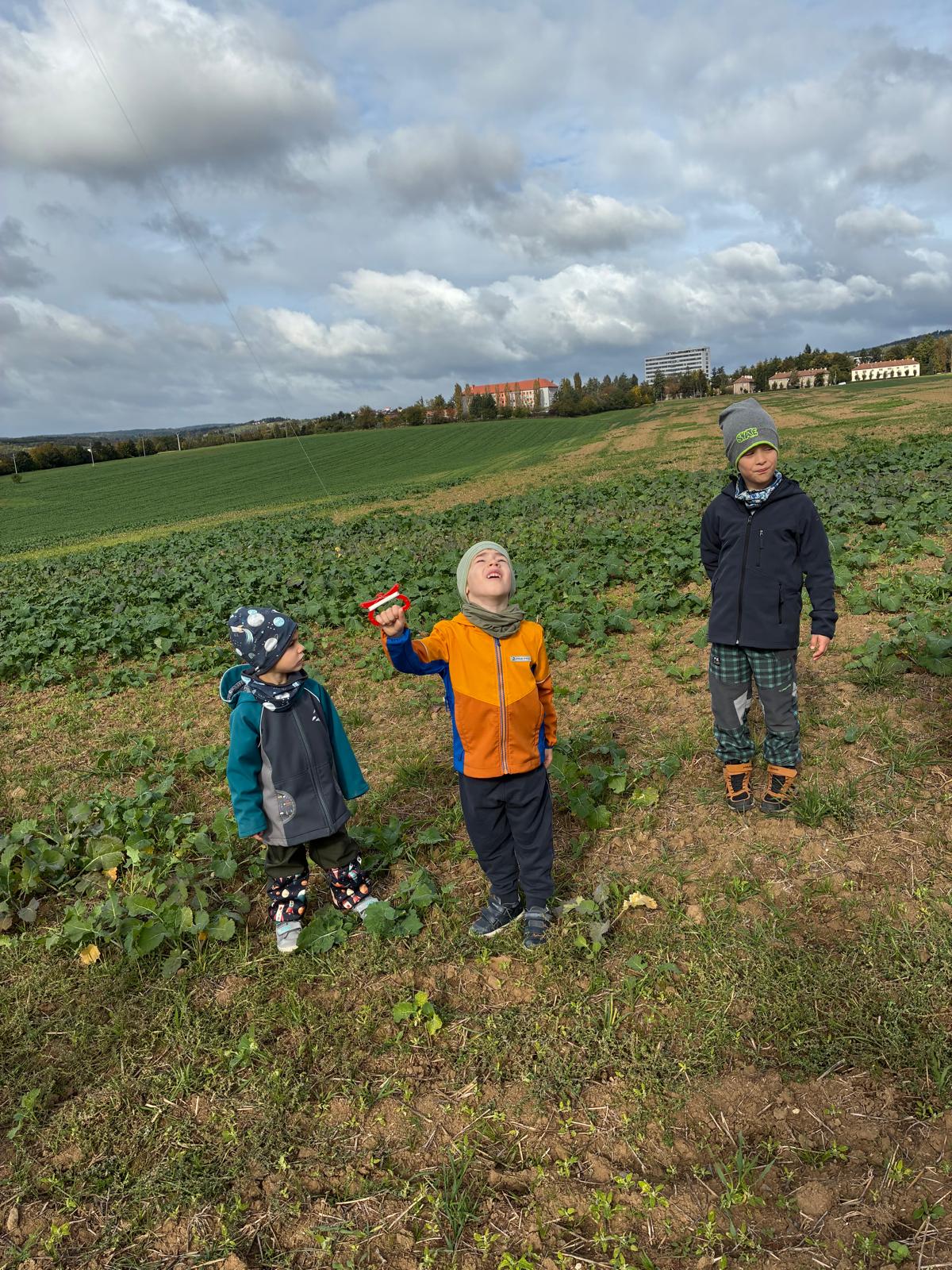 9bf7131e-1fcd-406a-a362-382ae624027c