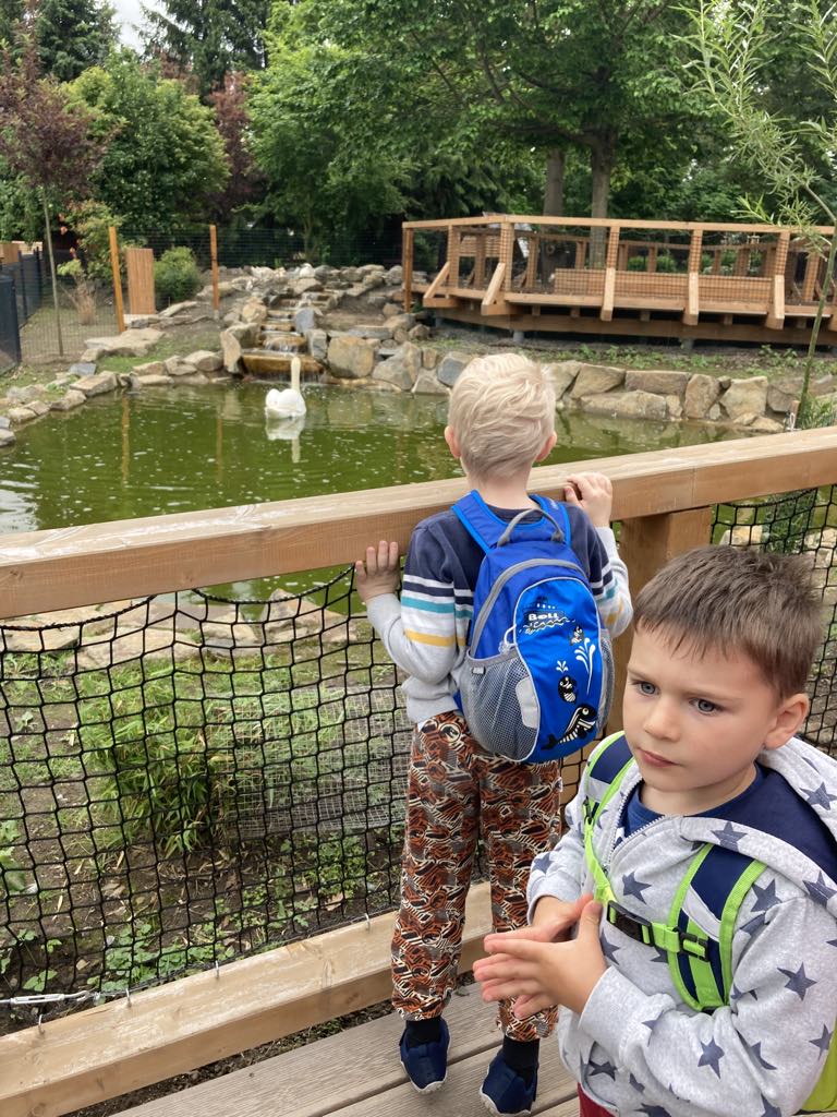 bcccbe1b-dc7c-45d3-abc2-ebfba01b3b97