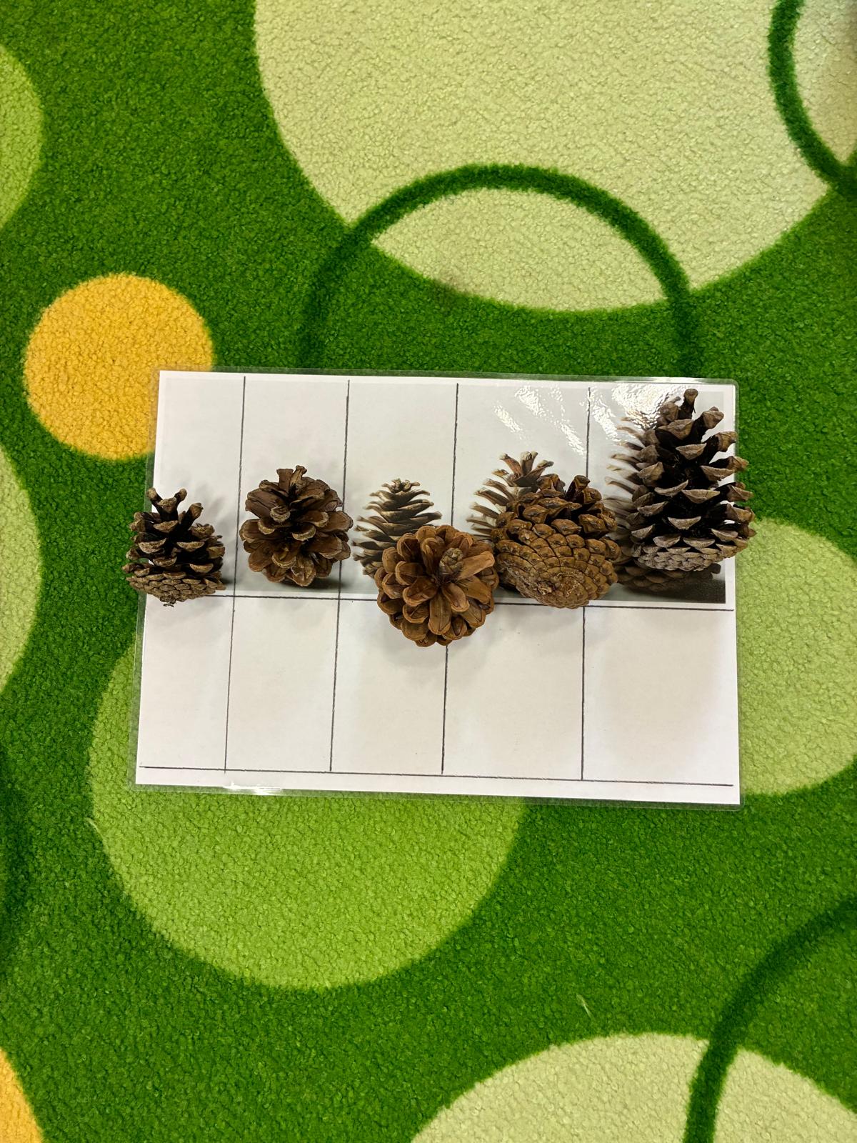 27d4b8bb-4d06-4921-98c7-500e240bfb15