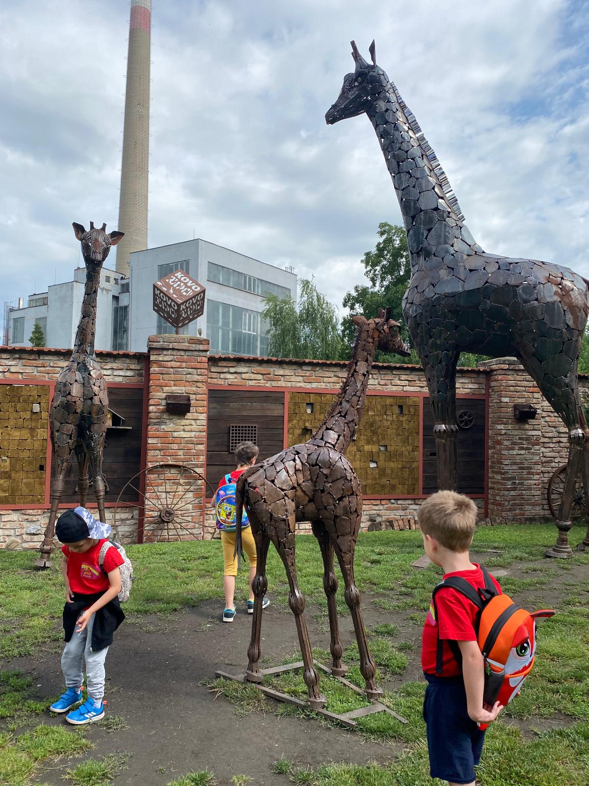 WhatsApp Image 2024-06-10 at 06.39.32 (1)