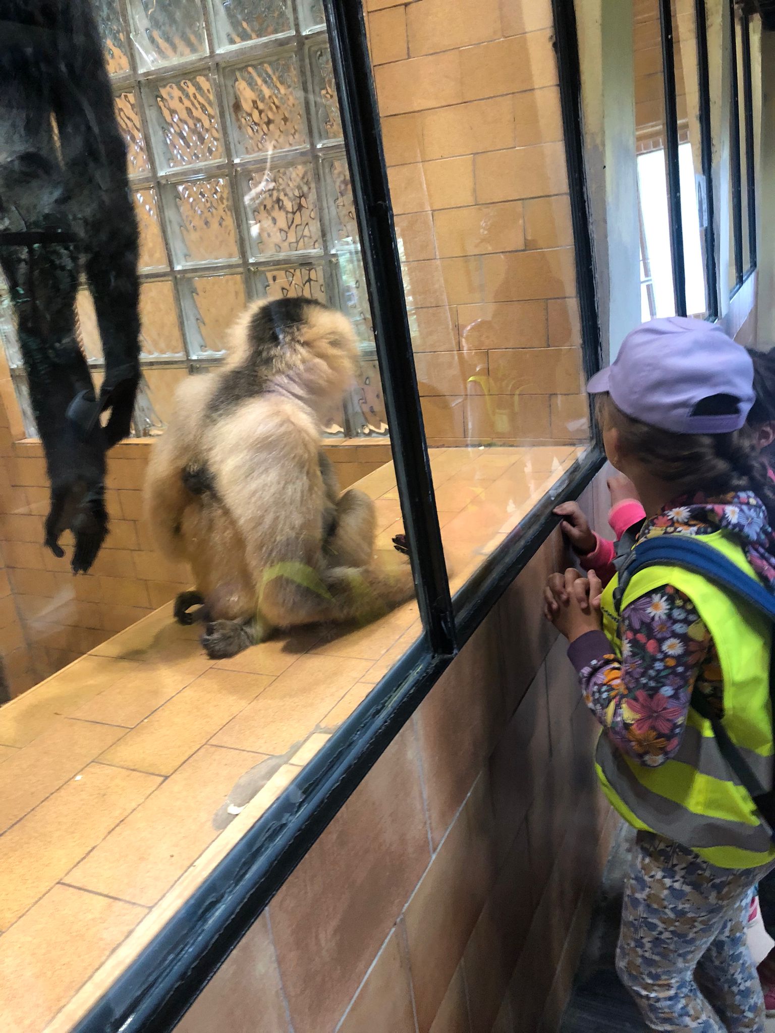 WhatsApp Image 2023-06-15 at 07.12.29