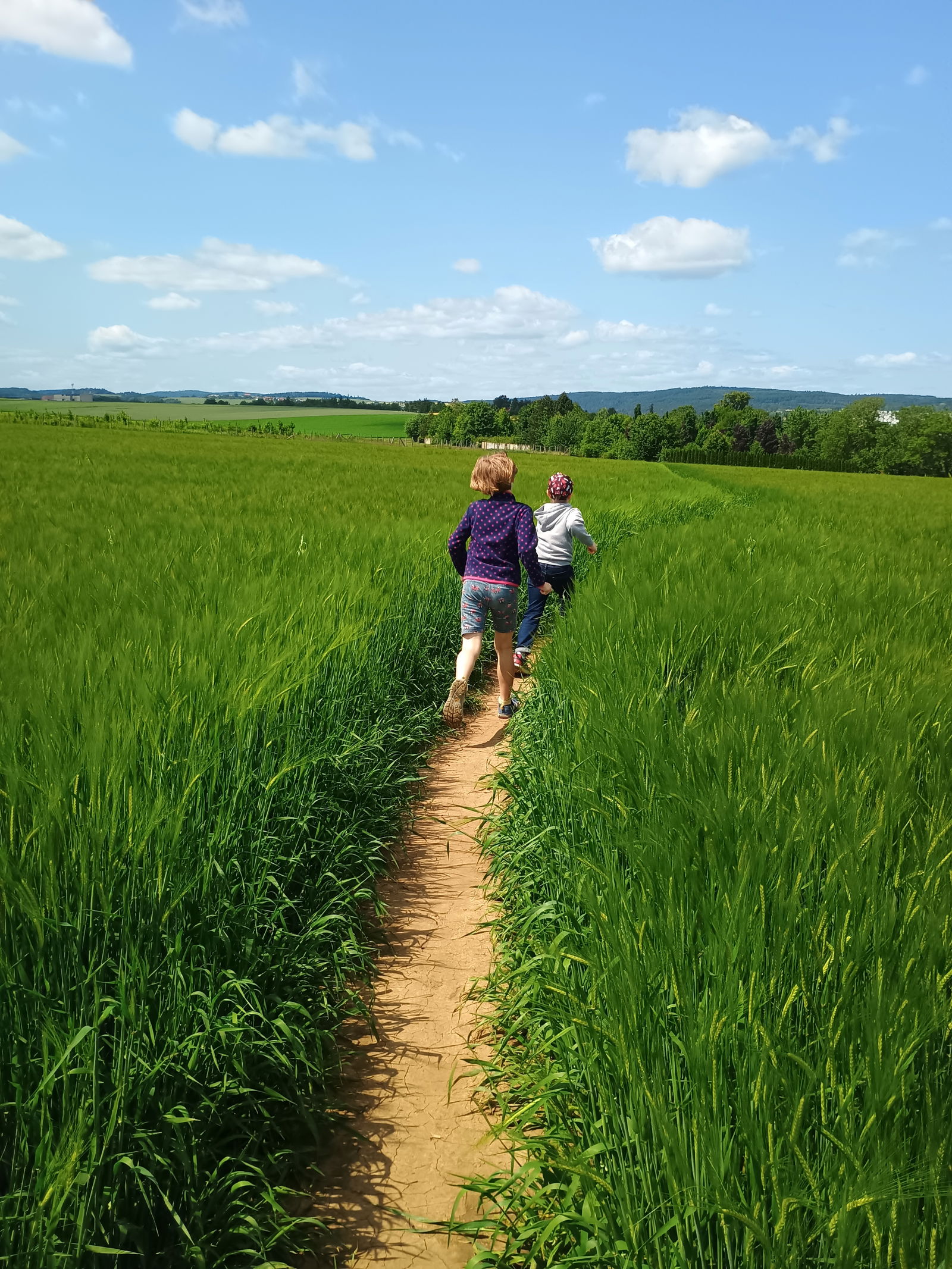 IMG_20250611_141824004