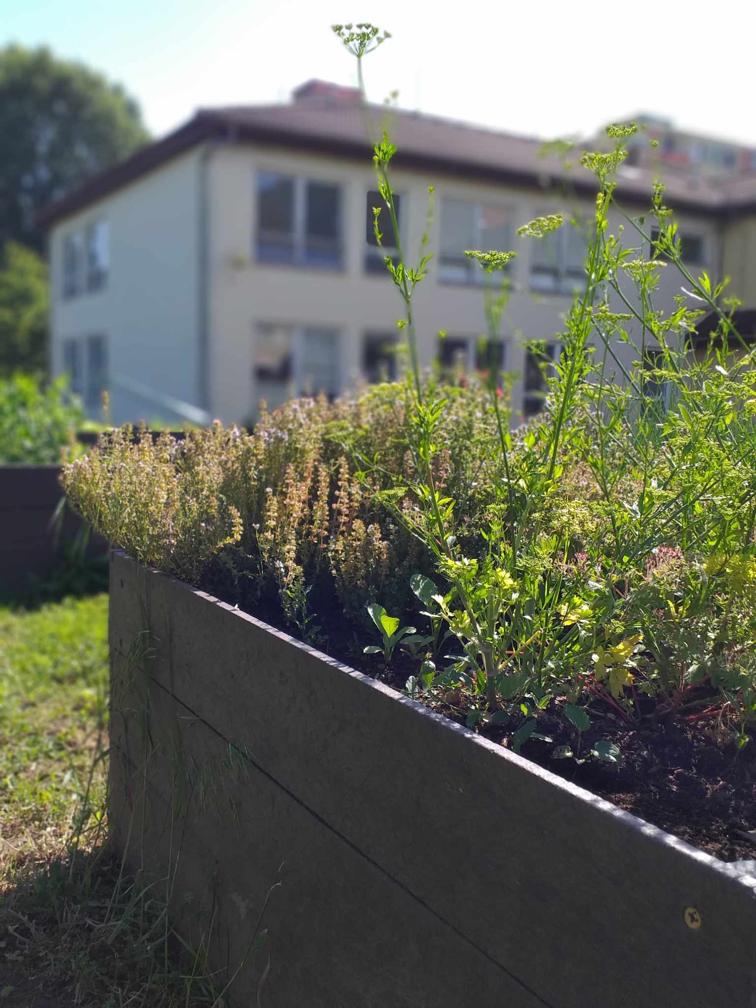 441623553_424045040550237_2101192802407276316_n