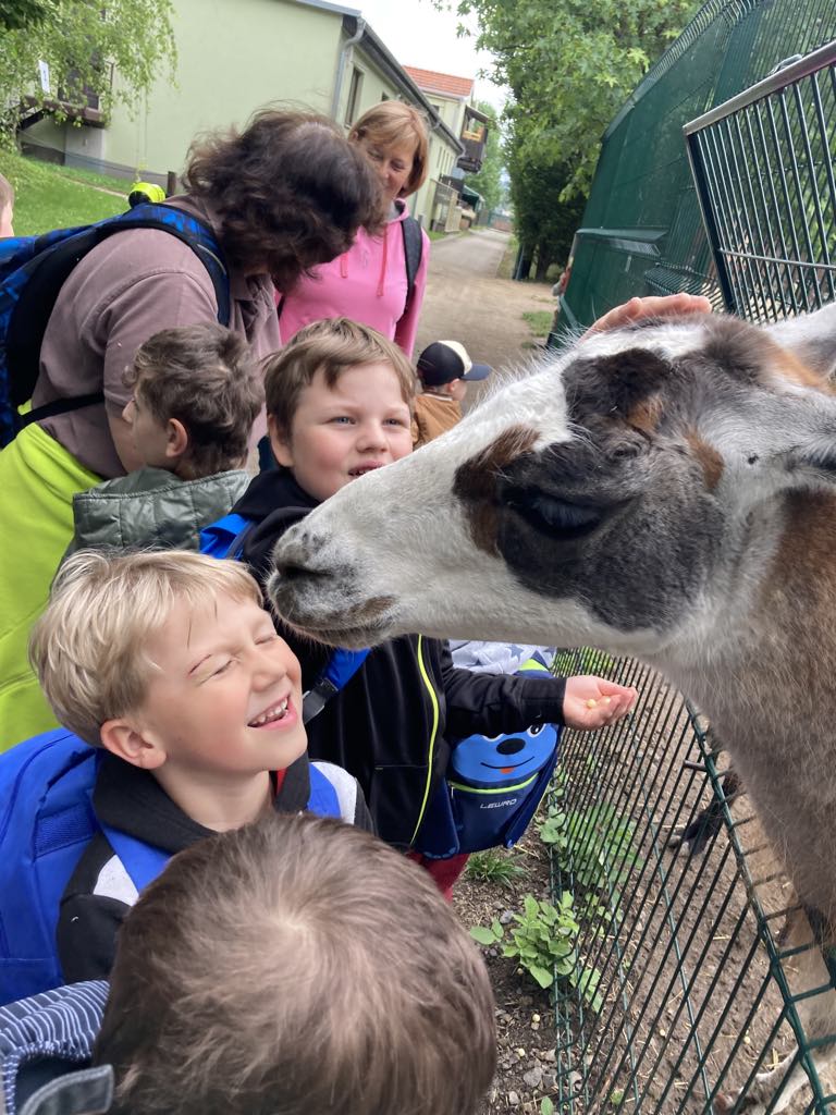 11d5bc19-4c65-4974-8ef0-3b553441bf83