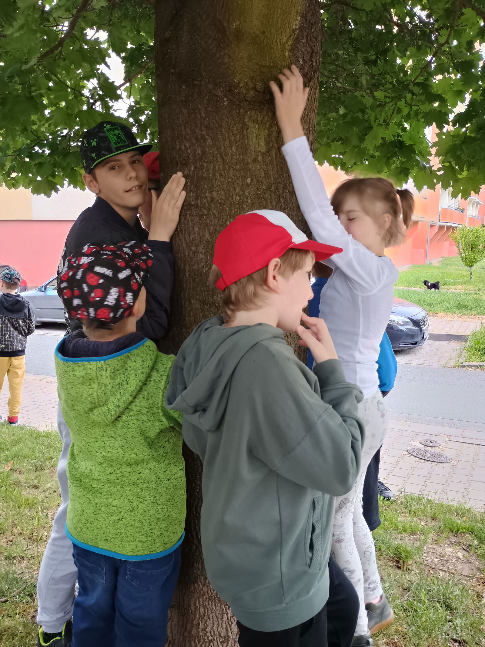 IMG_20250528_142043453_HDR