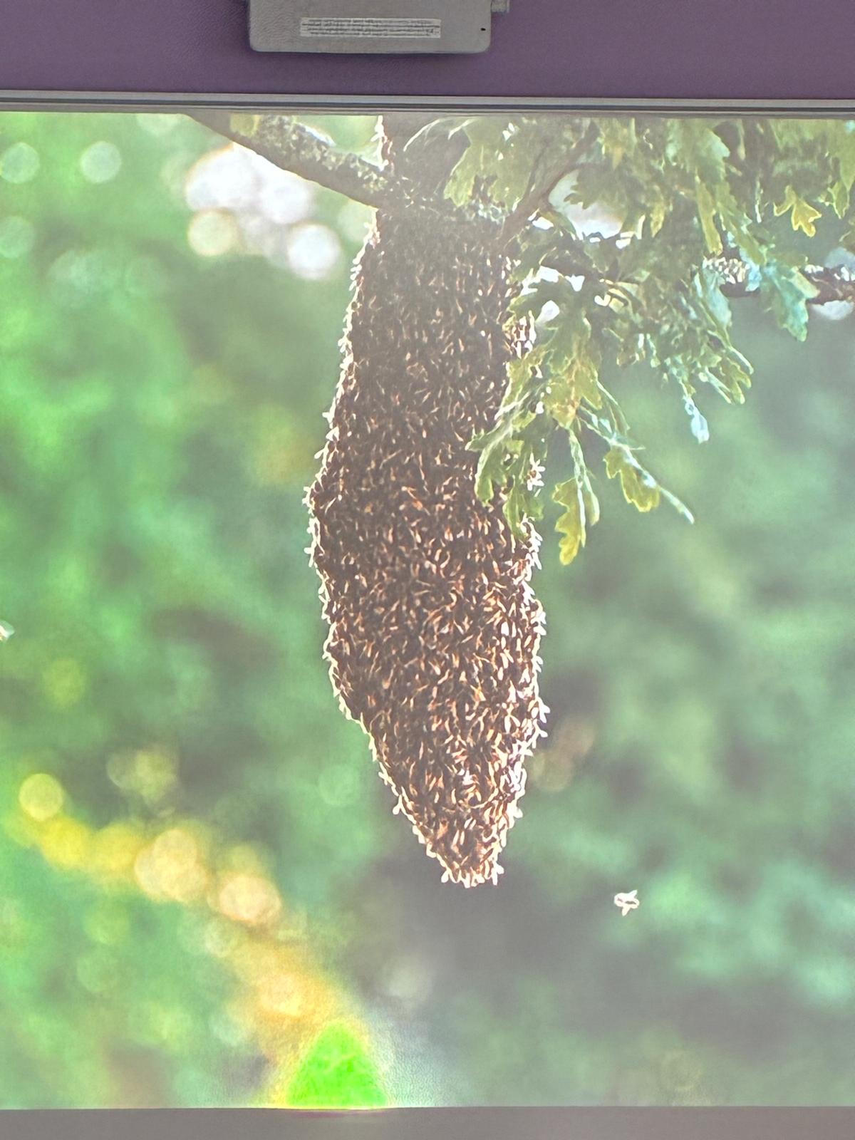 ddc3c48a-0adc-45f5-8eda-f08c40fb9502