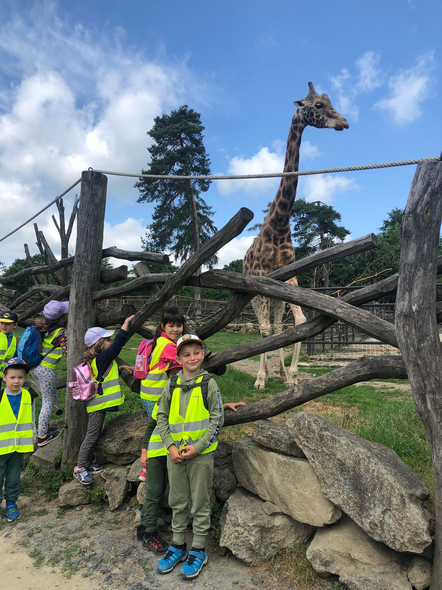 WhatsApp Image 2023-06-15 at 07.11.32