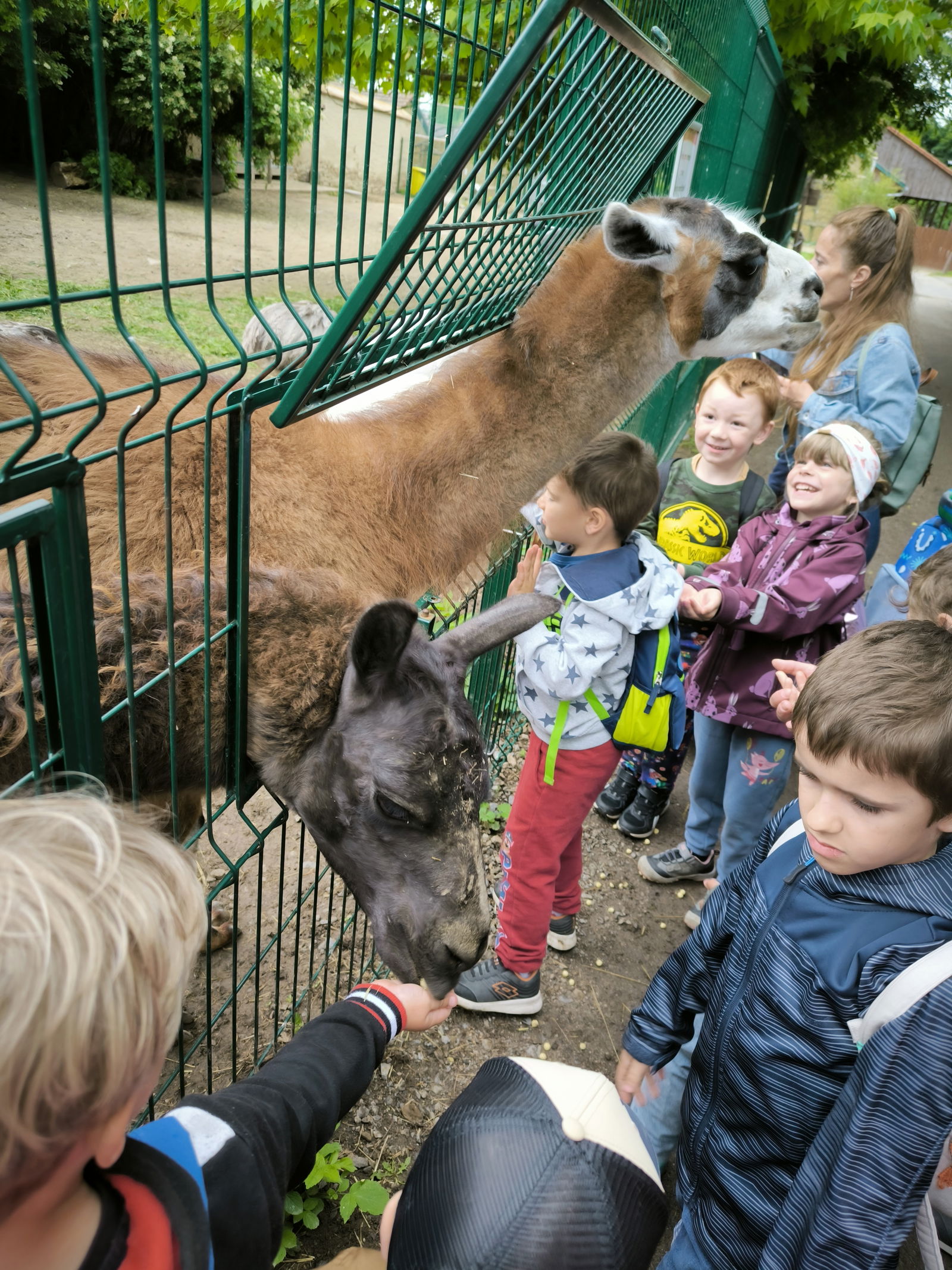 IMG_20240522_094507_1