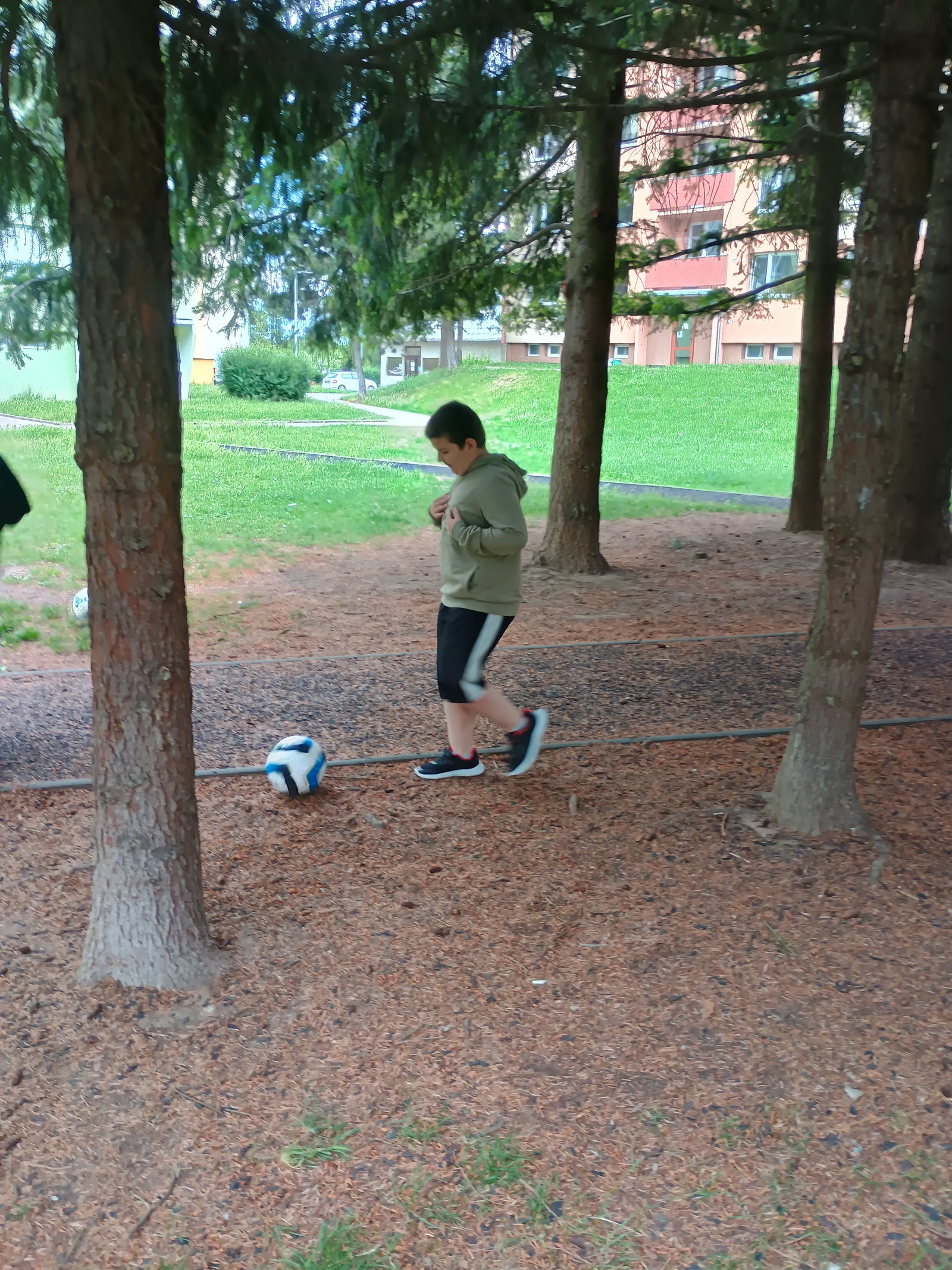 IMG_20260612_140512507_HDR