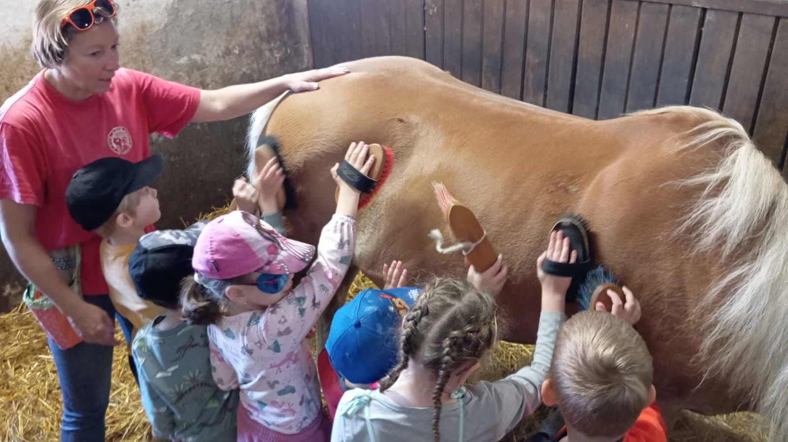 917326fc-af32-42a7-a2eb-86a7e2ae7911