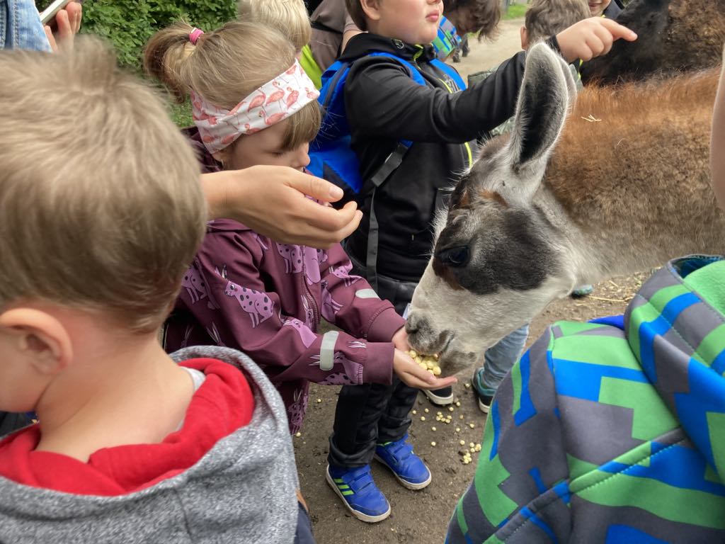 716a2eeb-f21e-4ff8-91a8-671cbd452c89