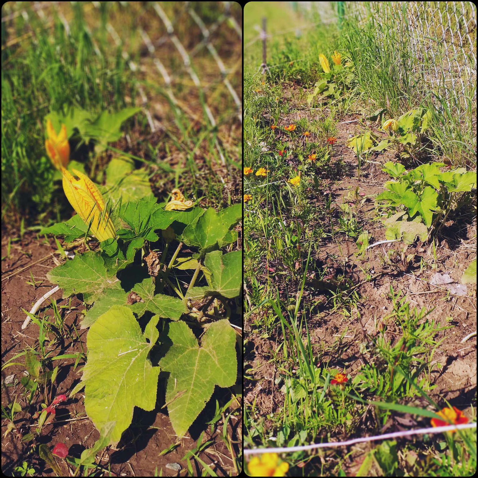 441657411_832296118230018_1966342772922021194_n