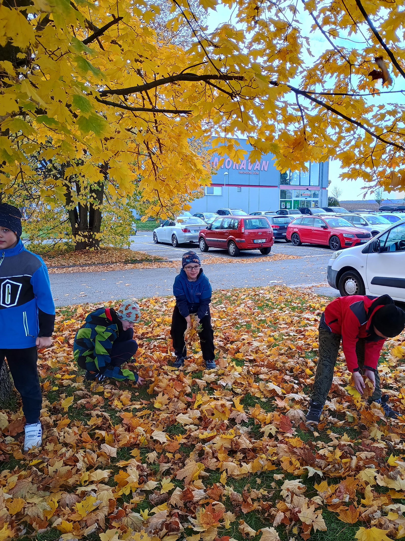 IMG_20241018_143453435_HDR