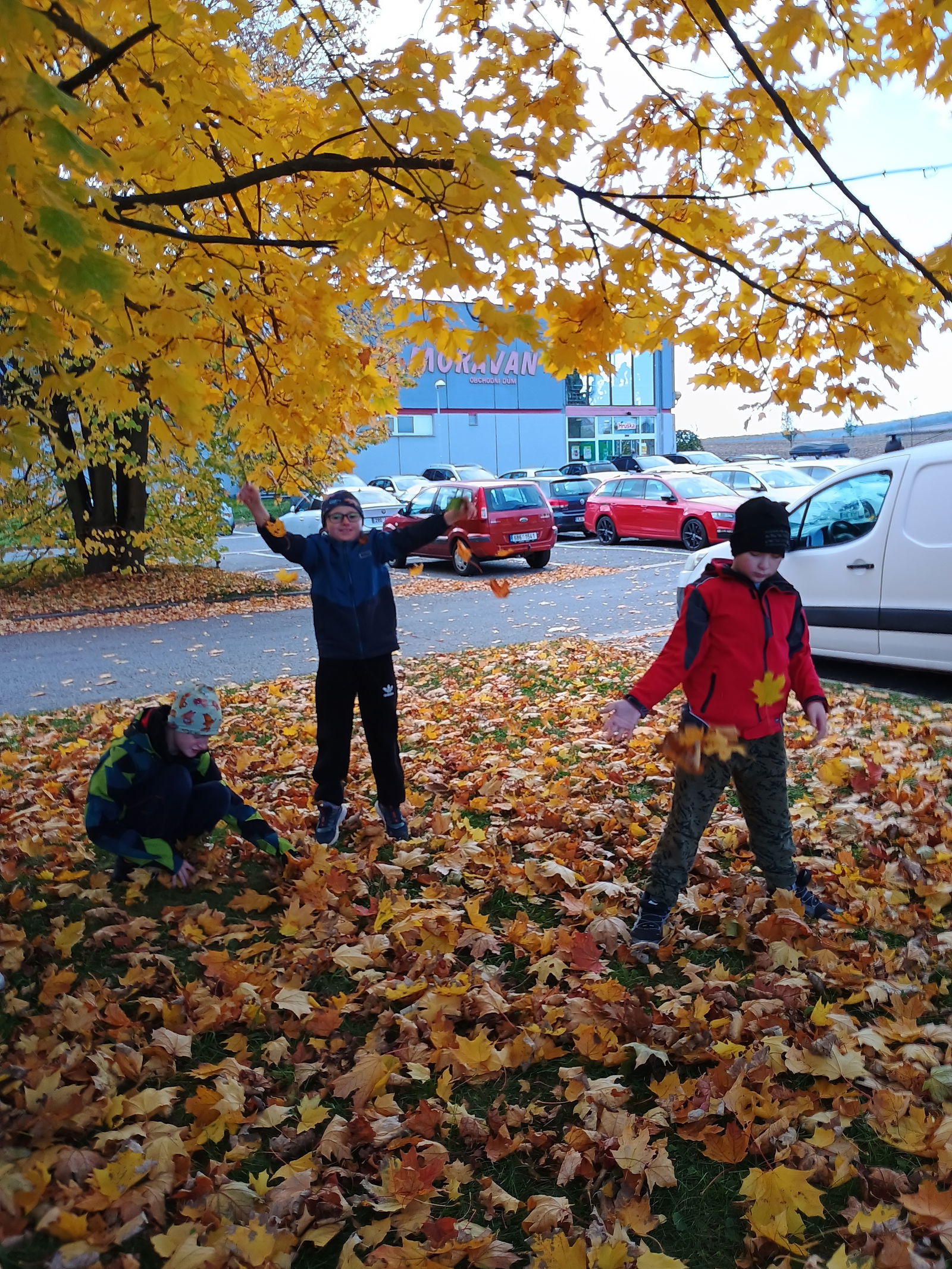 IMG_20241018_143455111_HDR