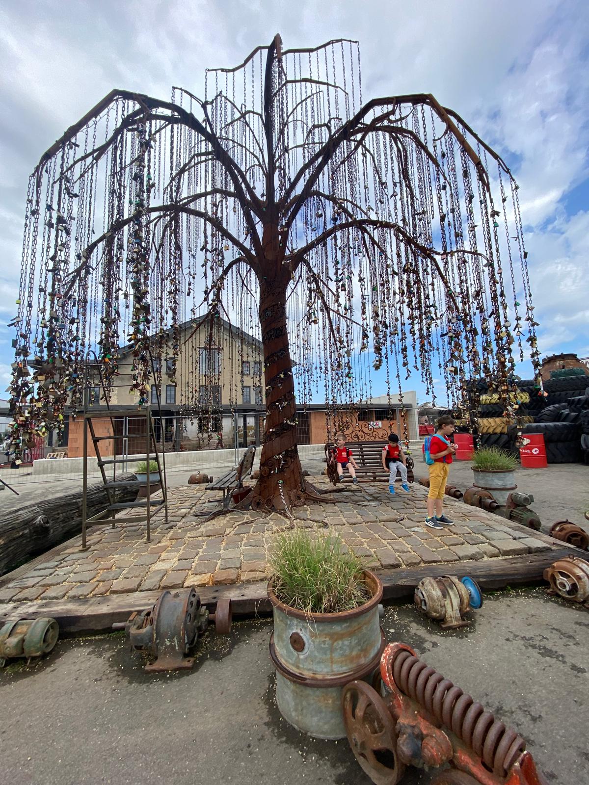 WhatsApp Image 2024-06-10 at 06.39.33 (3)