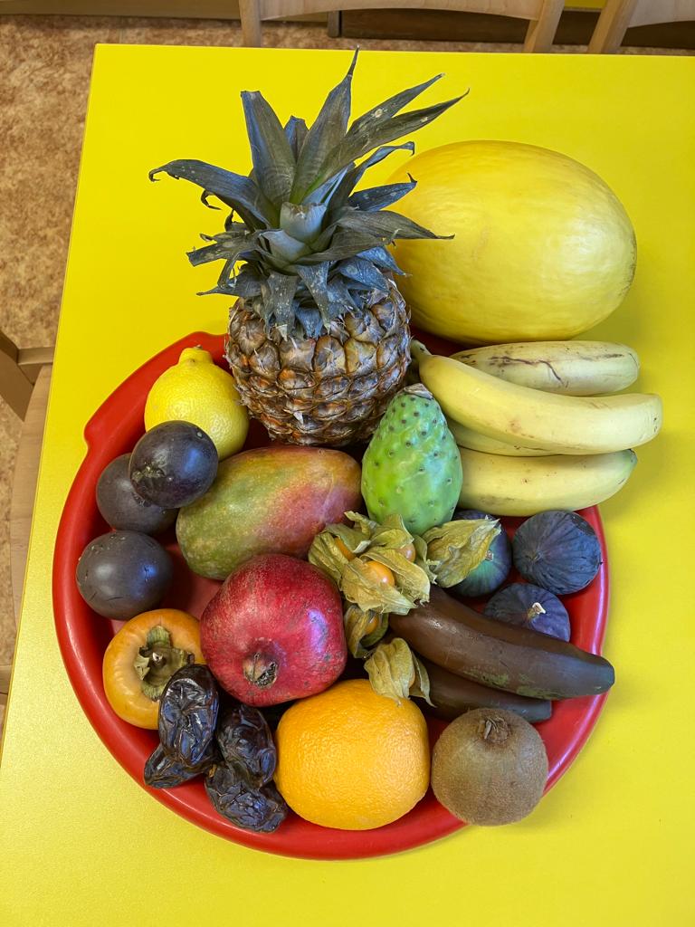 WhatsApp Image 2022-10-10 at 06.33.47