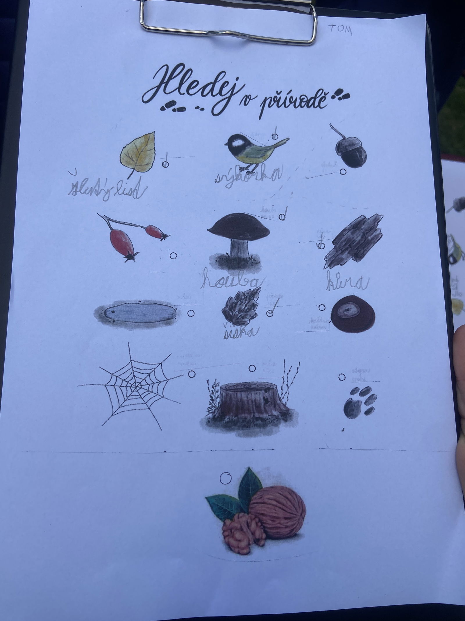 64E272B1-6074-4530-A85E-DF38C96439E6