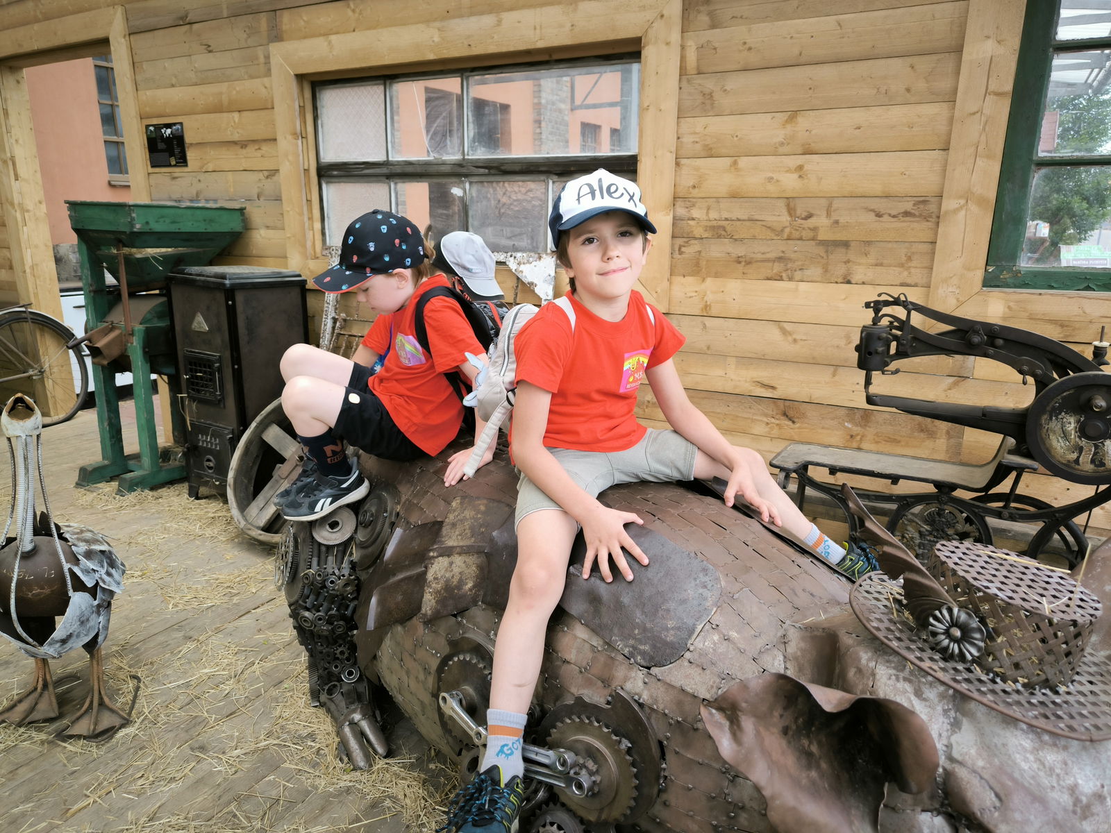 IMG_20240607_101433_1