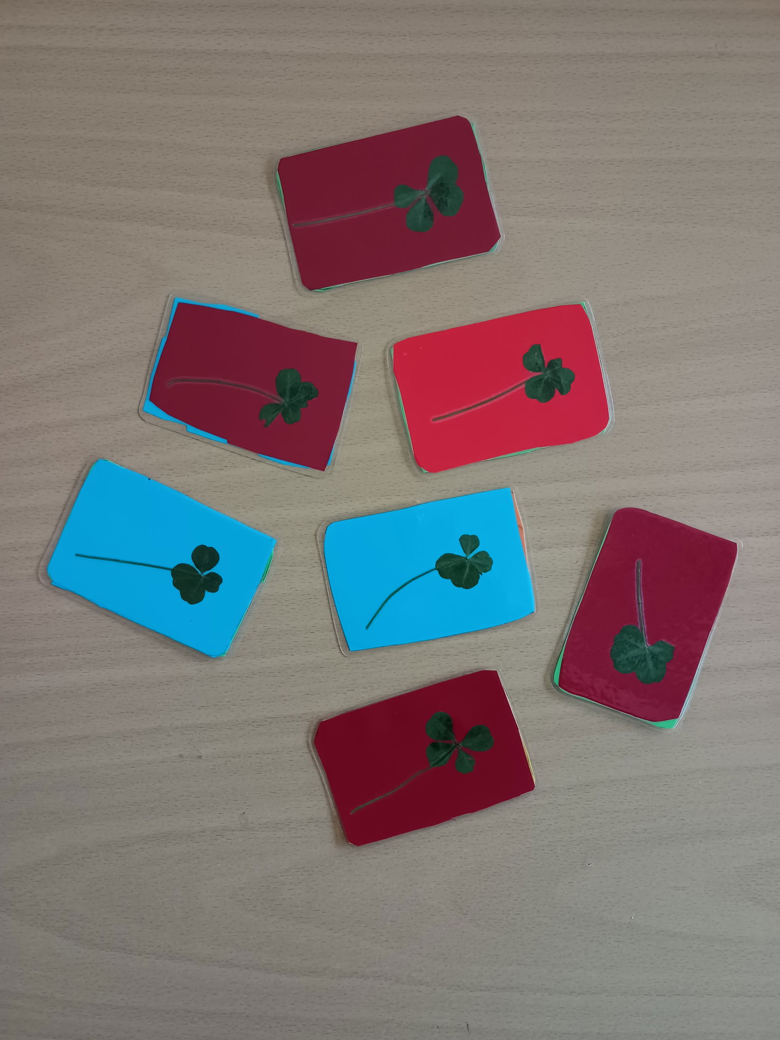 IMG_20250613_141523534