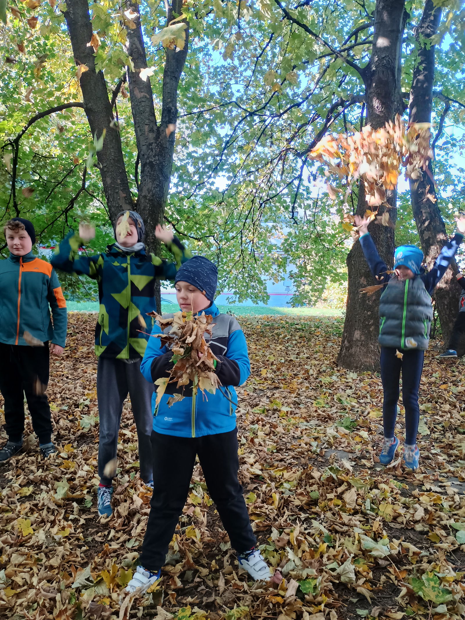 IMG_20251020_142227680_HDR