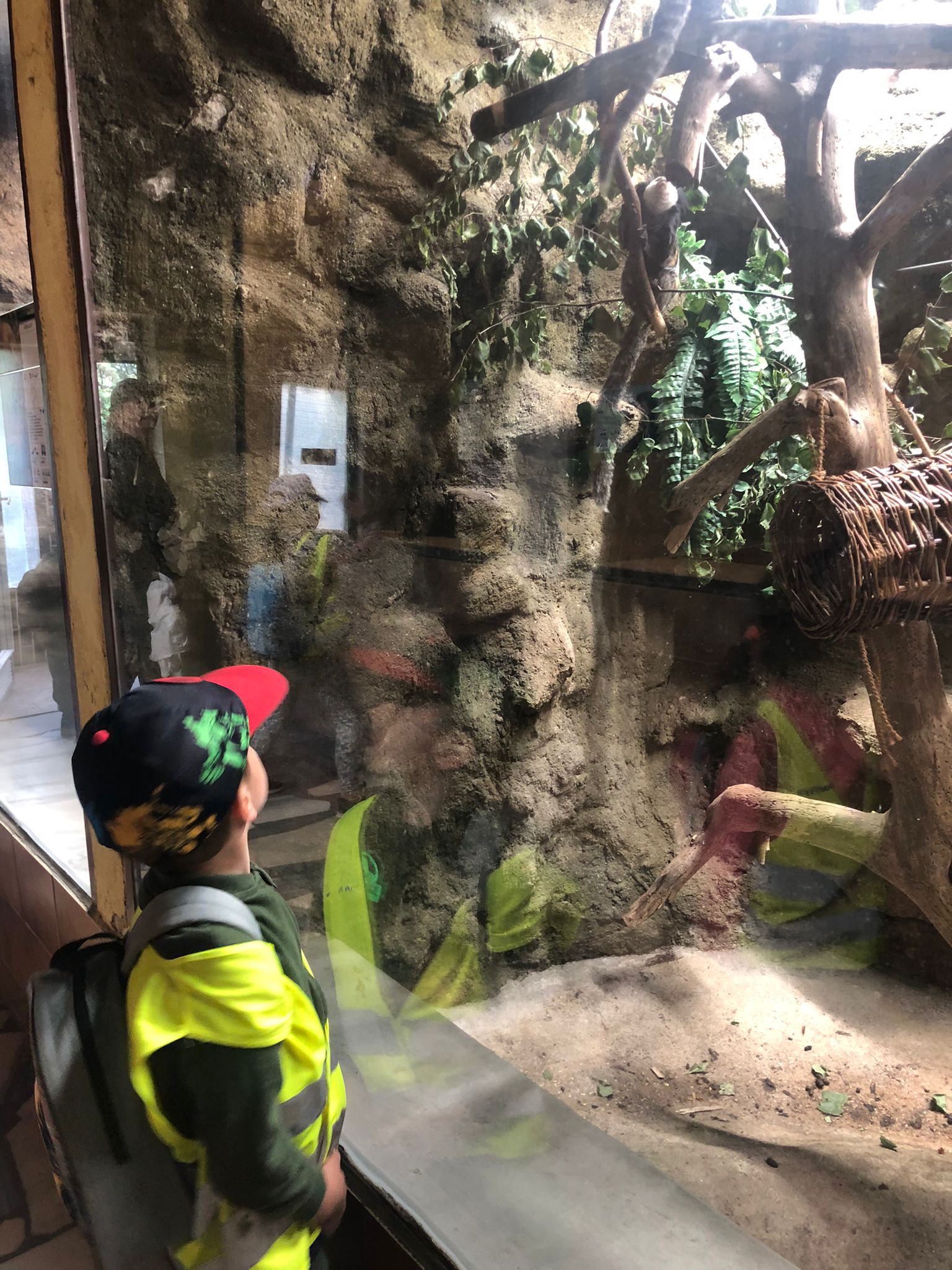 WhatsApp Image 2023-06-15 at 07.11.55