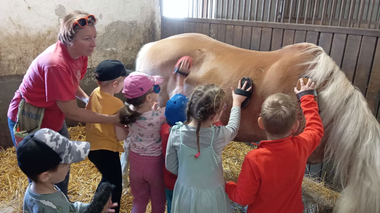 bde1537d-e8ef-493d-bf90-56ff47f833c8