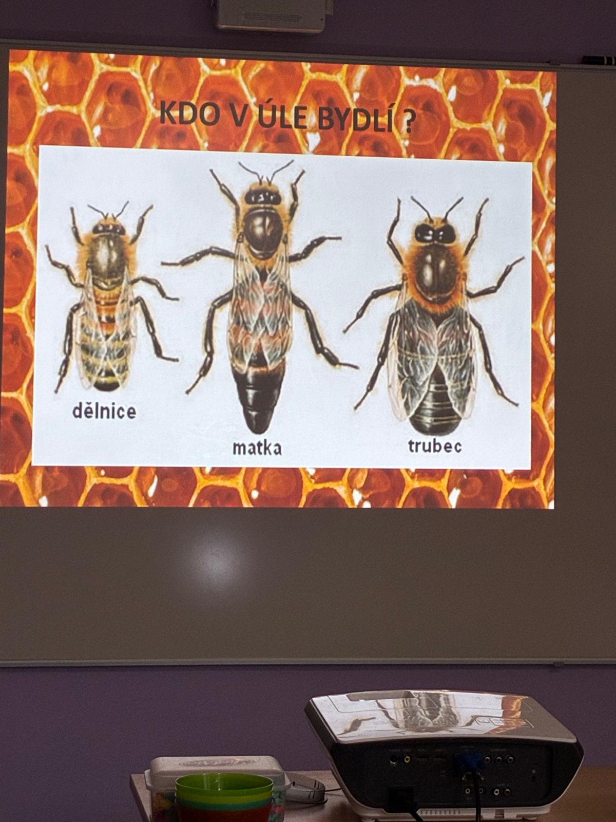 1253cd76-8ff5-4823-a76a-c052a5aa7250