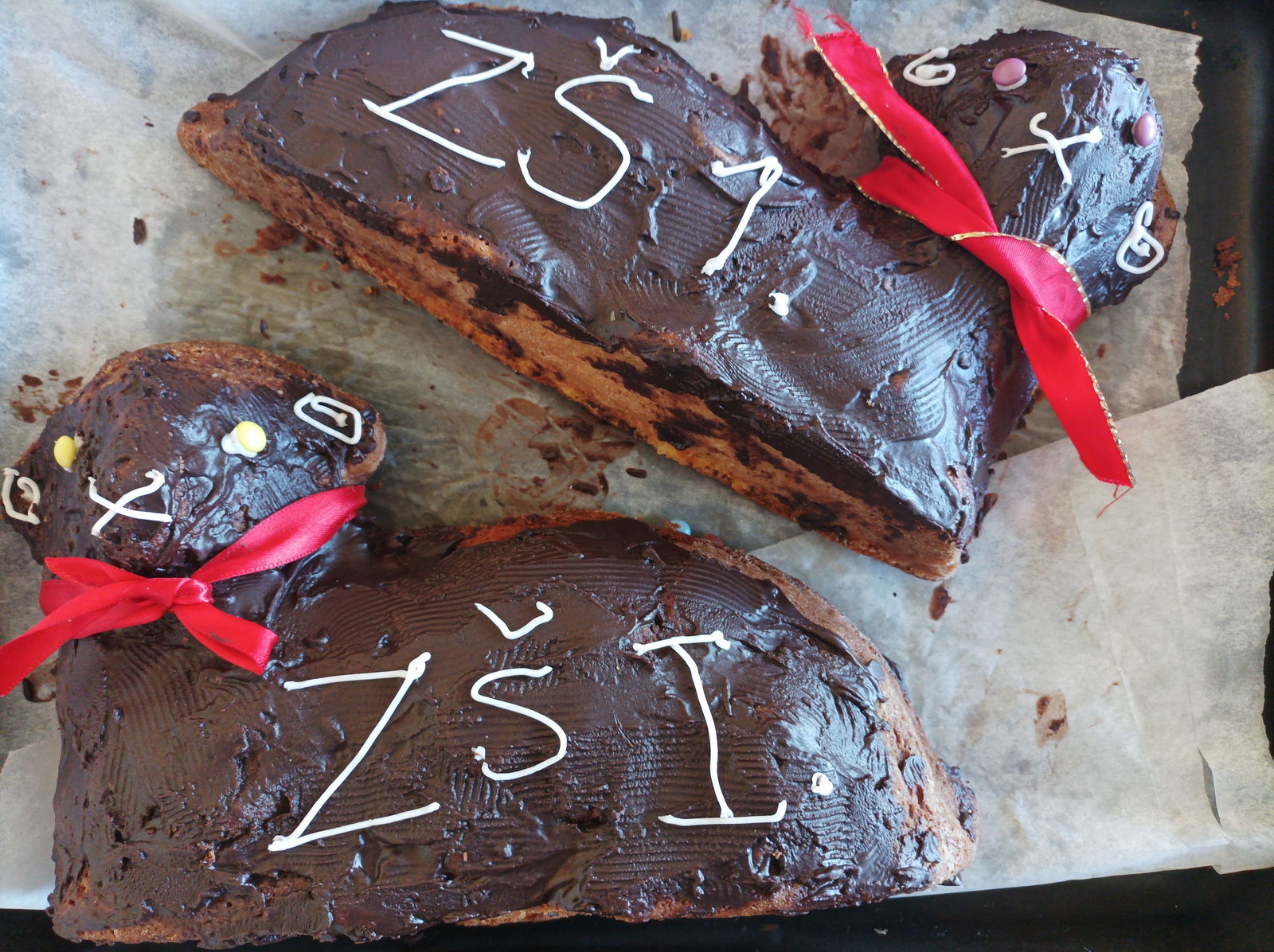 IMG_20240326_093912 - kopie