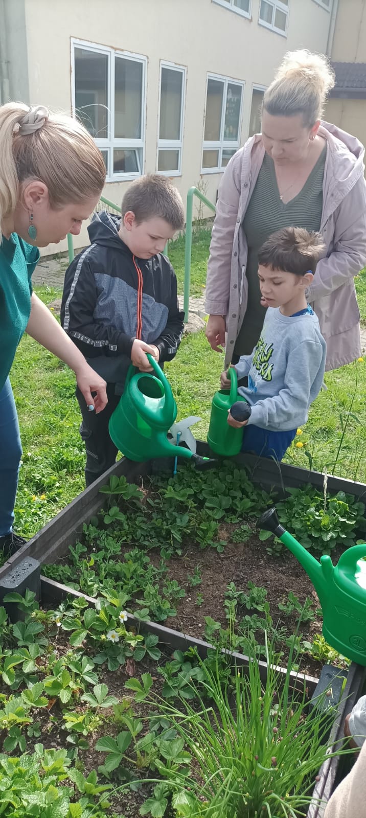 43eceab5-b67b-4177-9742-9051dbf14d0f