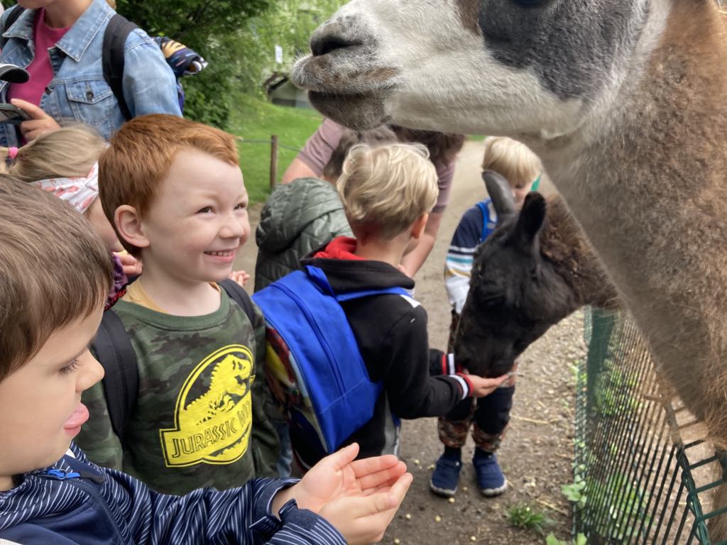 8e3fb96c-1517-4729-8d9e-e55a778a522d