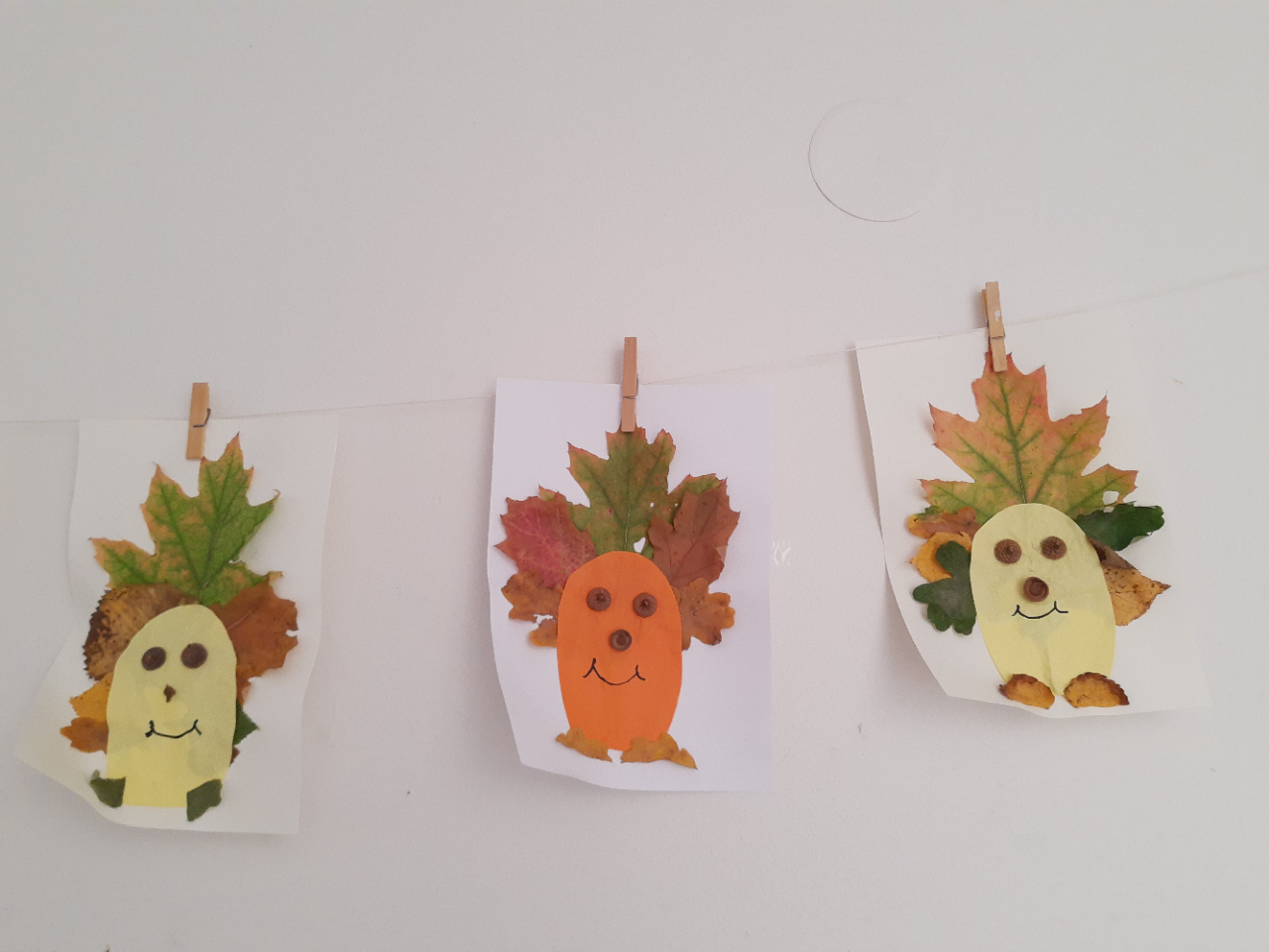 IMG_20231006_112323465