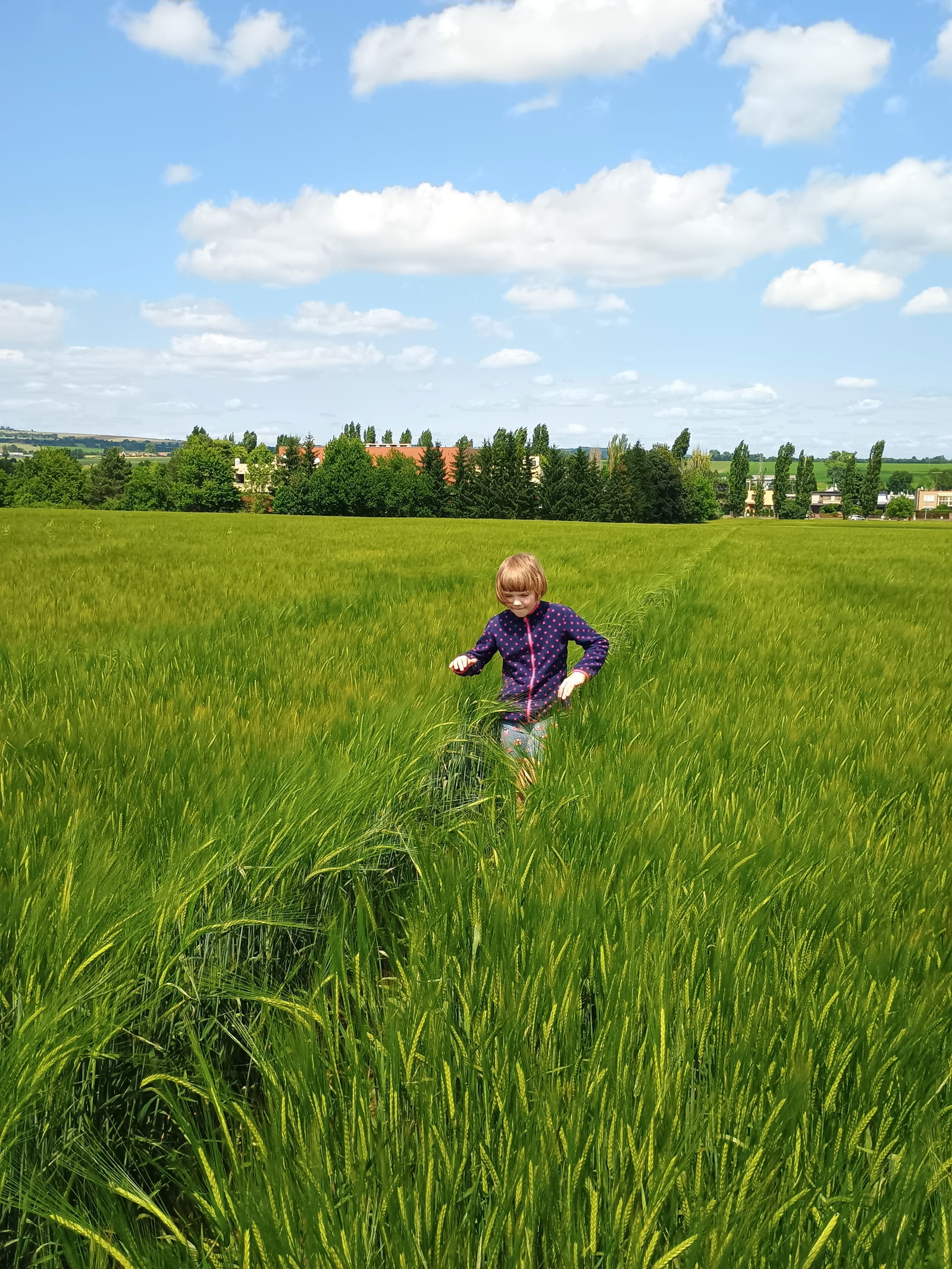 IMG_20250611_141720836