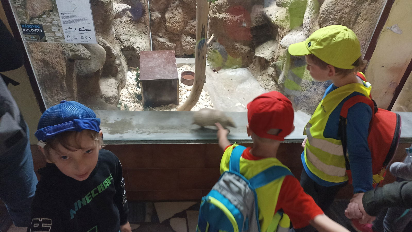 IMG_20230614_095818_1