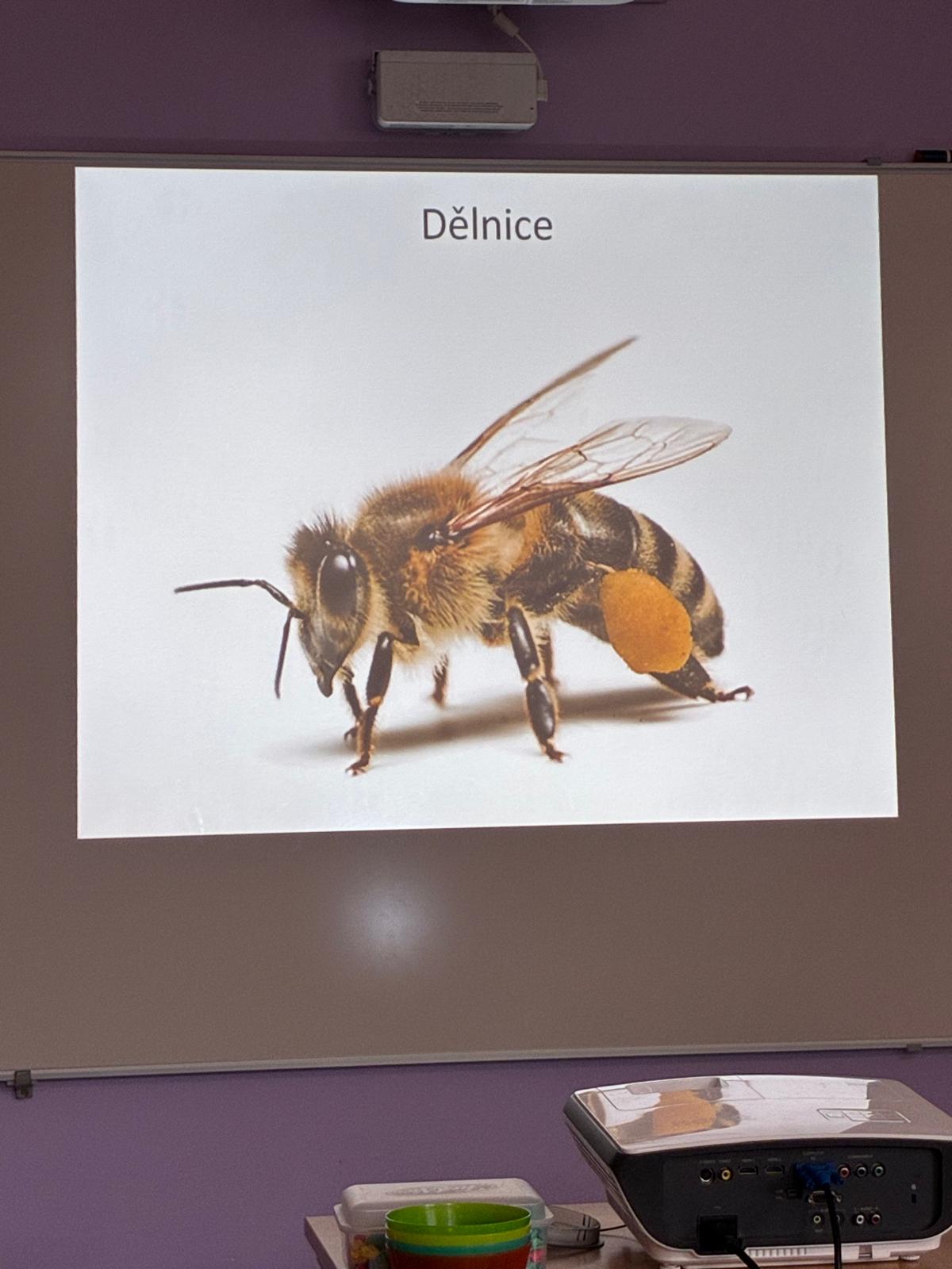 899c02ce-2e6c-4cba-847e-101e14c026db