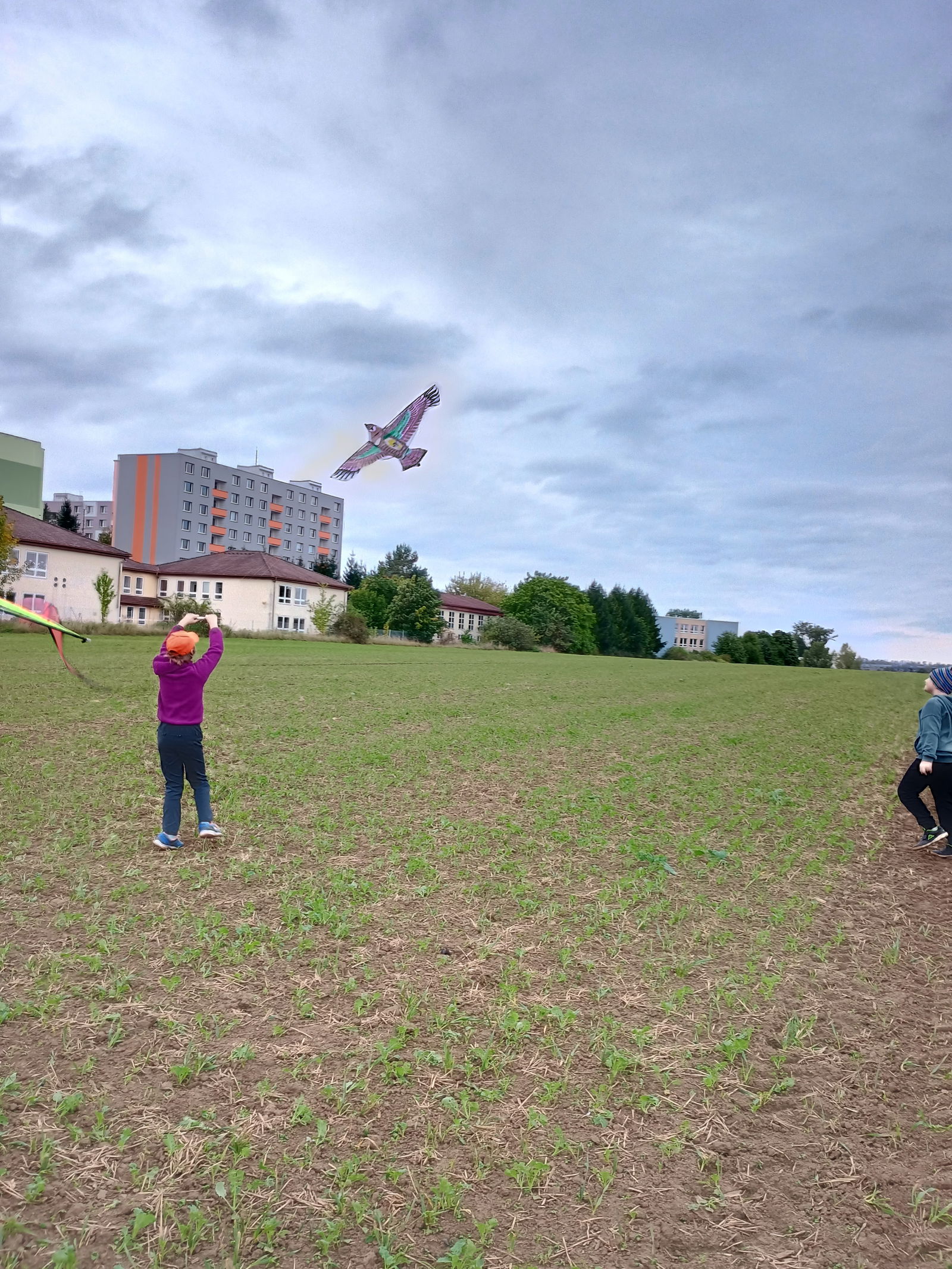 IMG_20250923_145207130_HDR