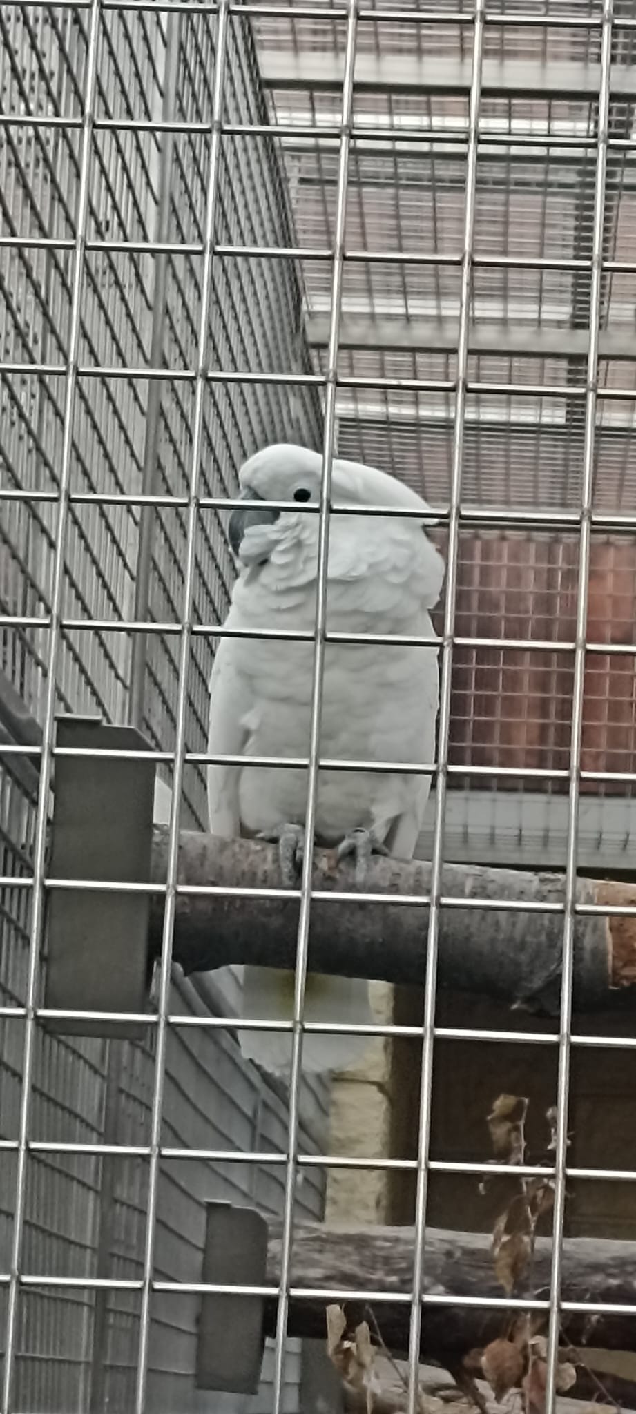 WhatsApp Image 2022-10-04 at 15.33.28