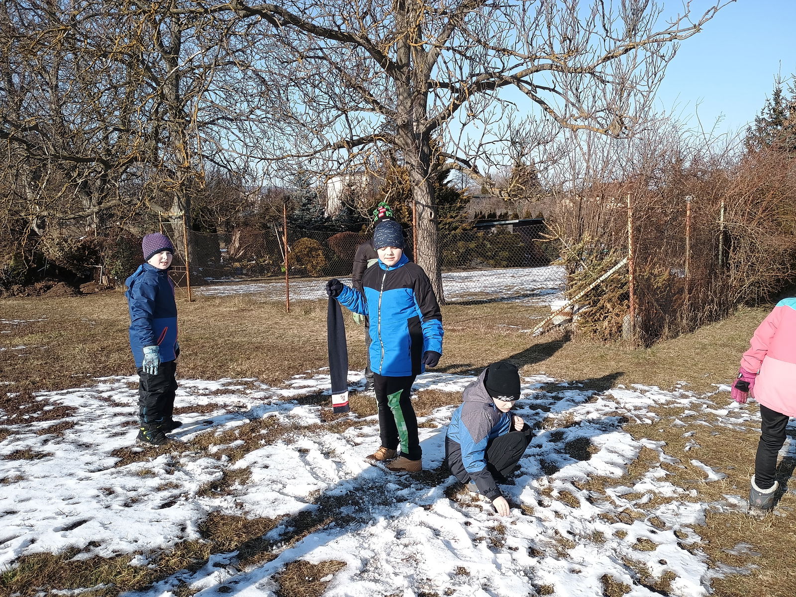 IMG_20250219_142731781