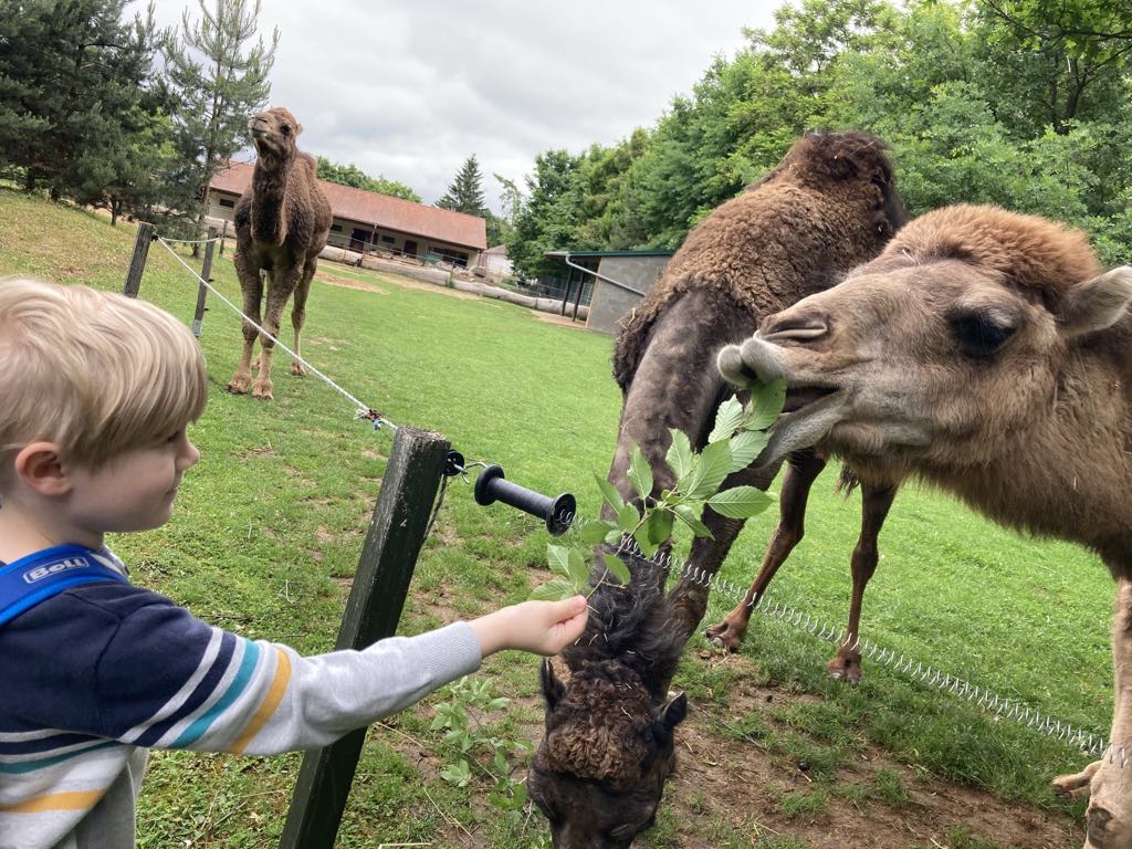 e8f4794b-eac6-4f58-b40b-e9108b6306be