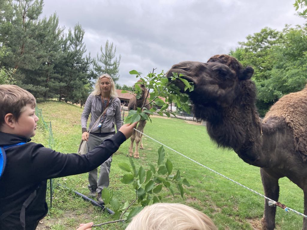 46d1aa41-fc94-4977-a3b0-1bc89af90be9