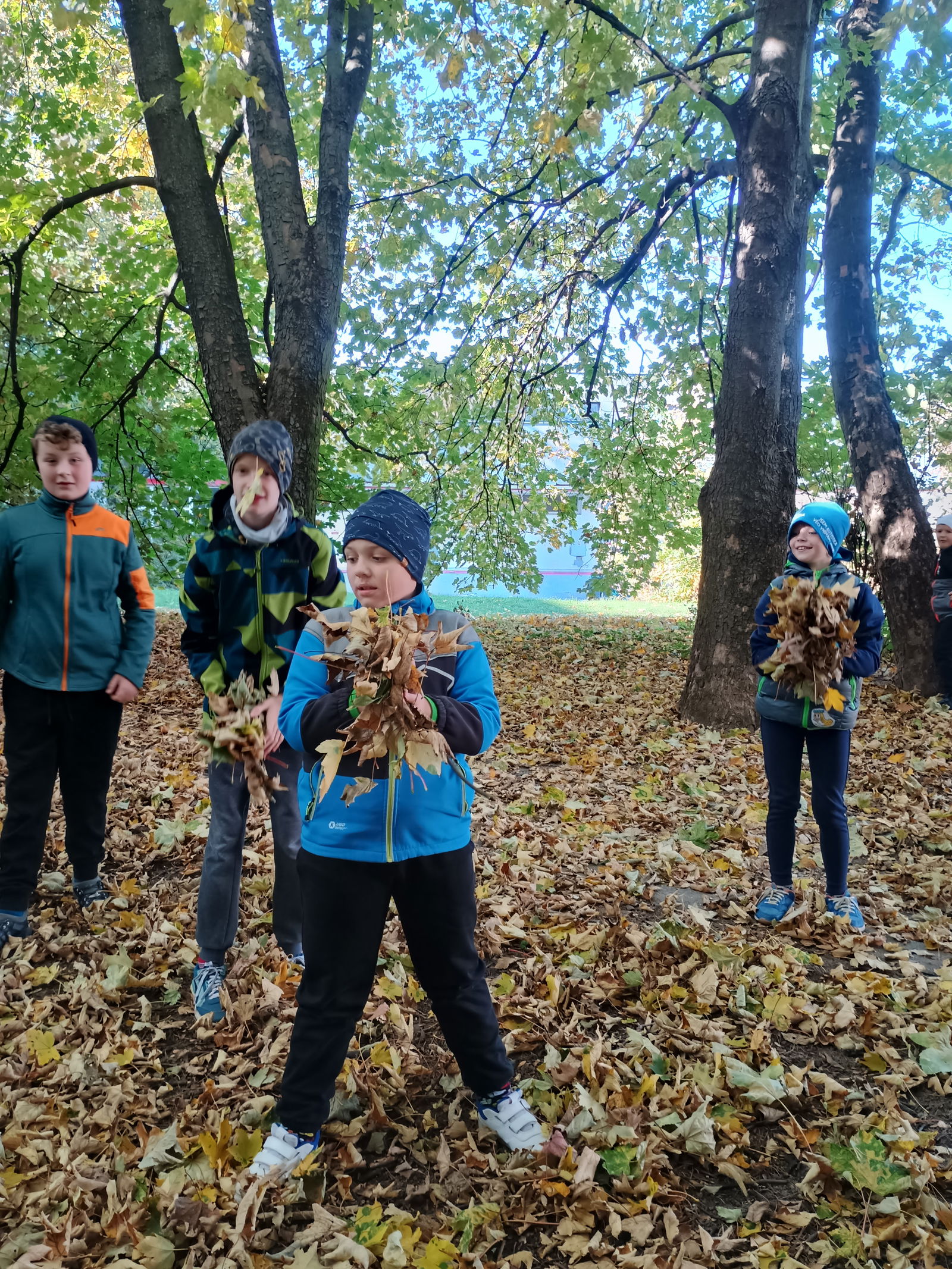 IMG_20251020_142226383_HDR