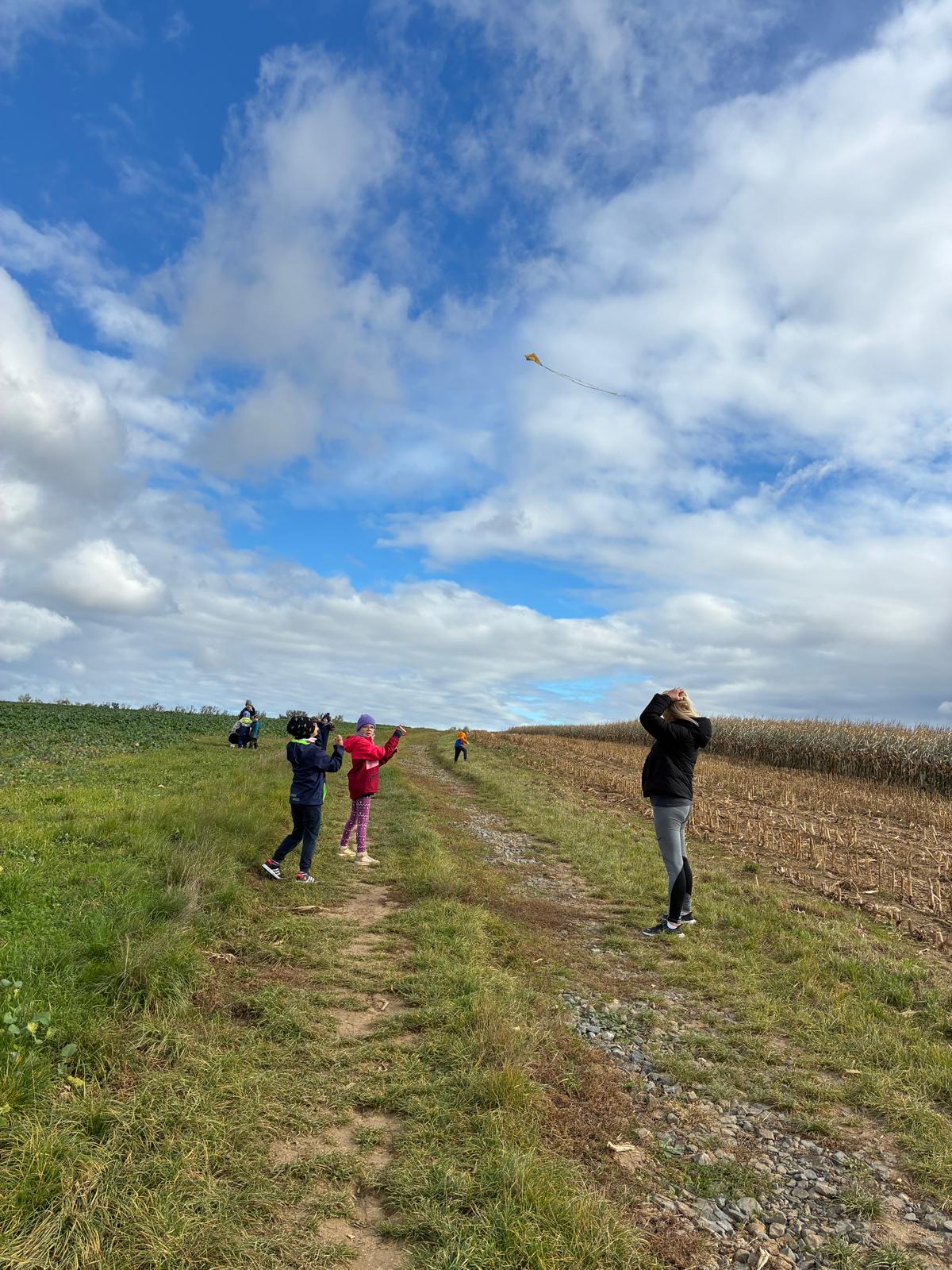 fd4df439-b5df-4dcf-9431-fba6e1f50265