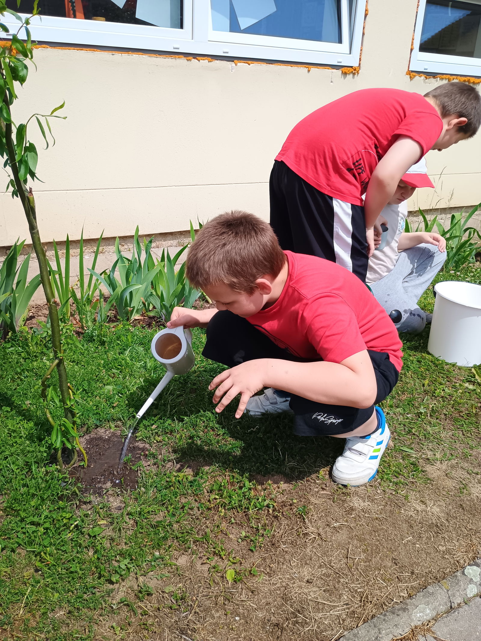 IMG_20250604_140819674