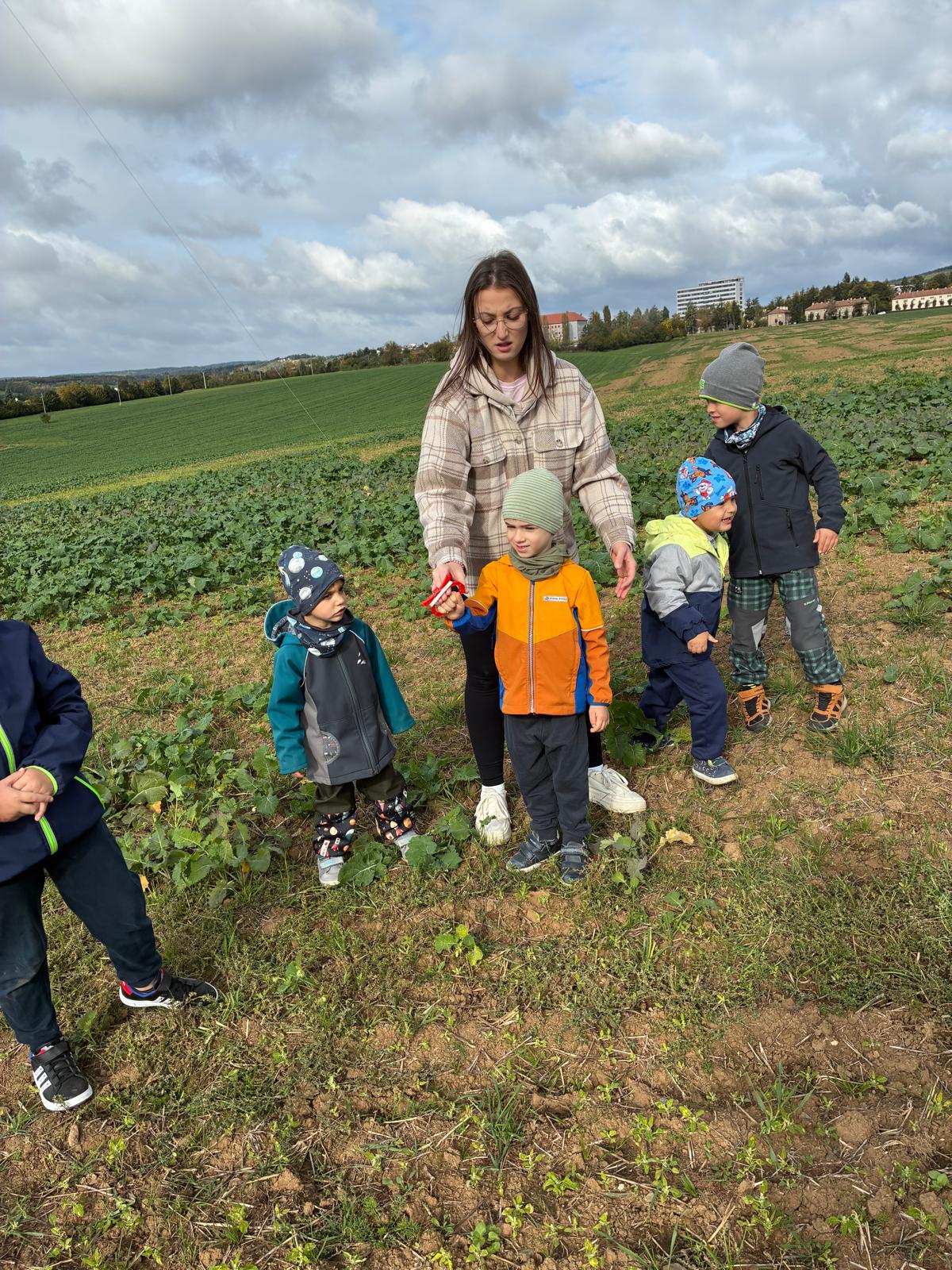 4ff3604f-7db6-4231-ac67-9b319ddf6cdc