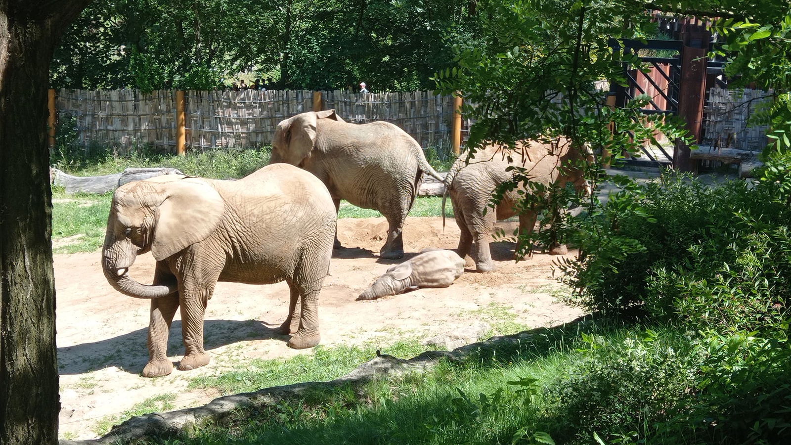 WhatsApp Image 2022-06-15 at 15.00.16